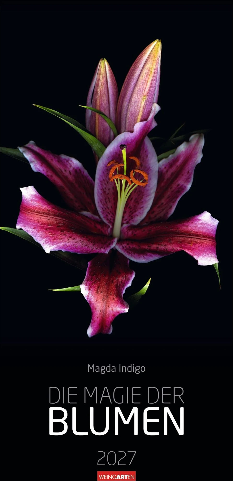 Wandkalender: Die Magie der Blumen Kalender 2027
