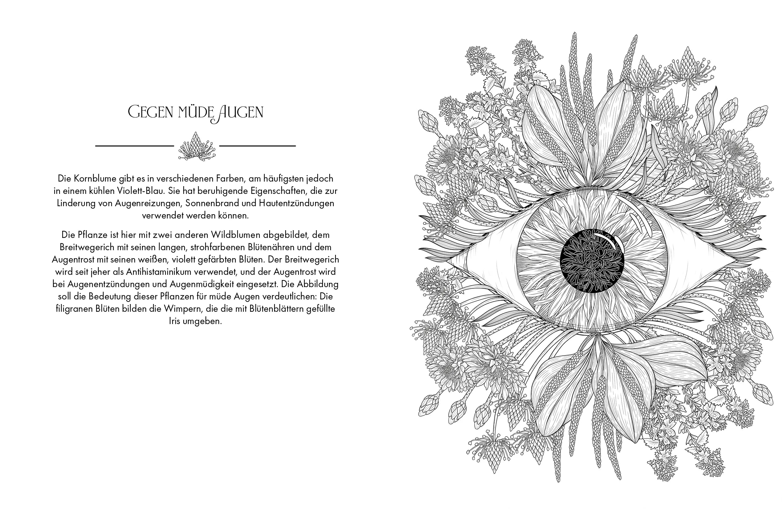 Innenansicht von 'Die Magie der Natur' - Taschenbuch
