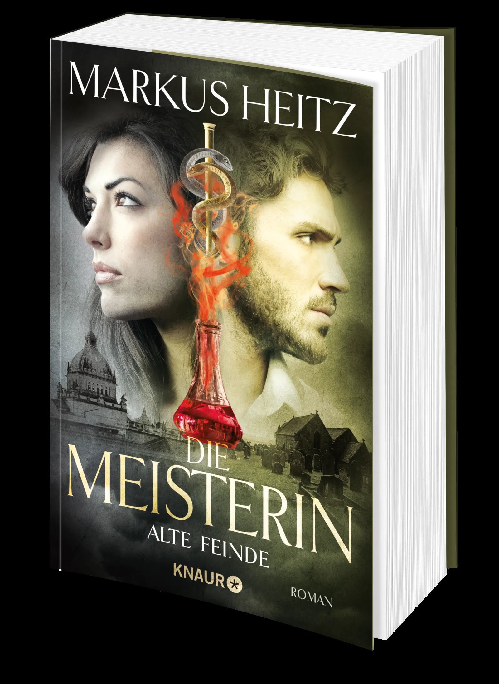 Markus Heitz - Die Meisterin: Alte Feinde