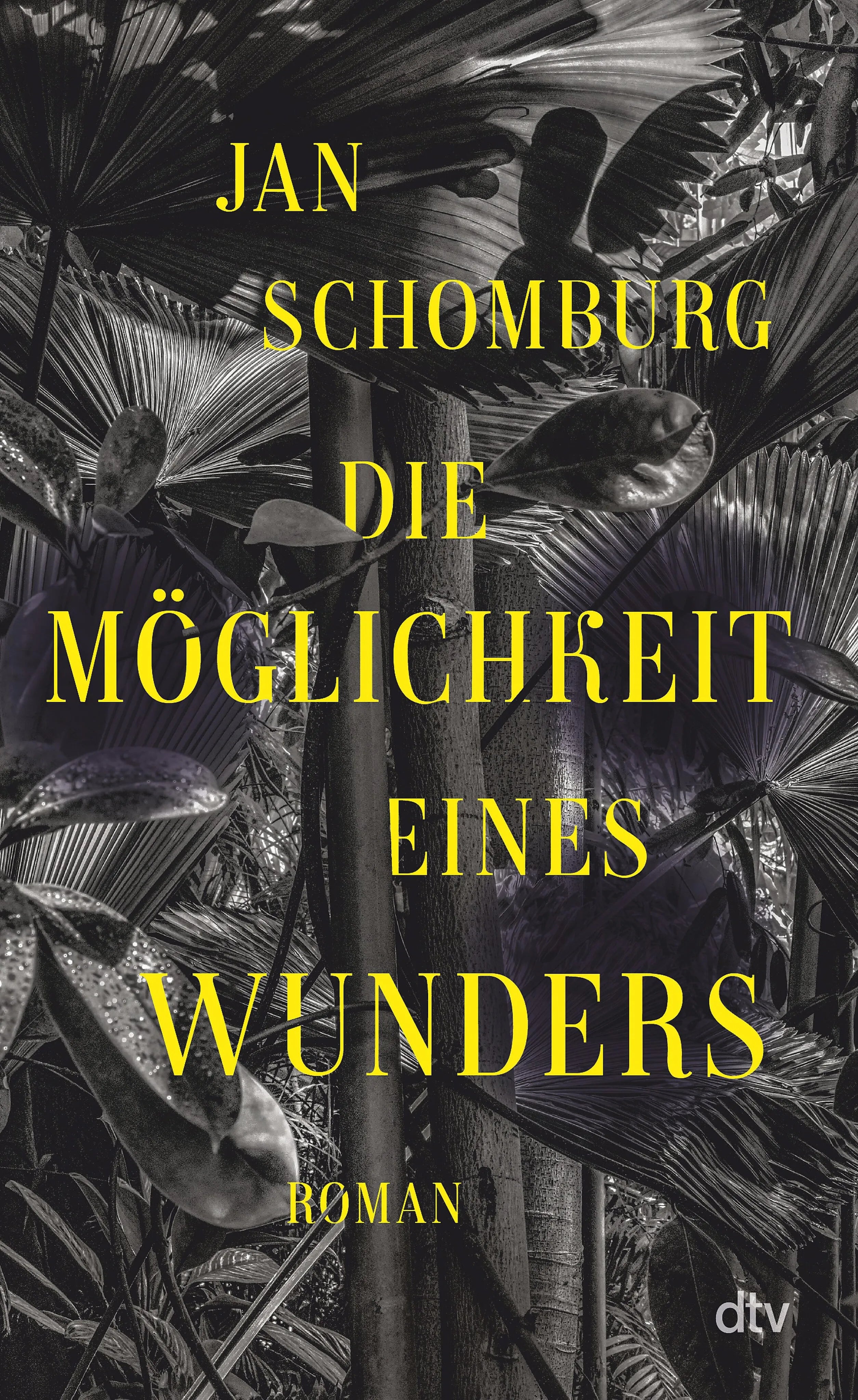 Cover: Die Möglichkeit eines Wunders (E-Book) von Jan Schomburg