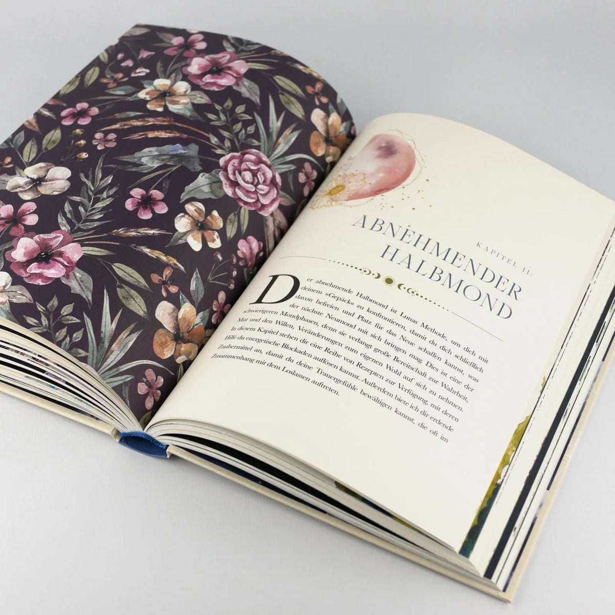 Detailansicht: Die Mond-Apotheke (Hardcover)