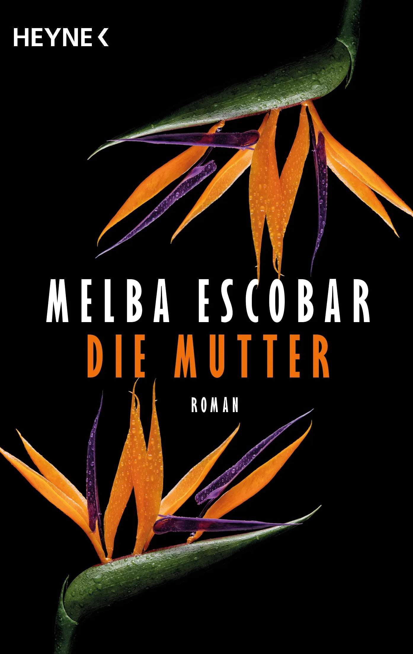 Cover: Die Mutter (E-Book) von Melba Escobar