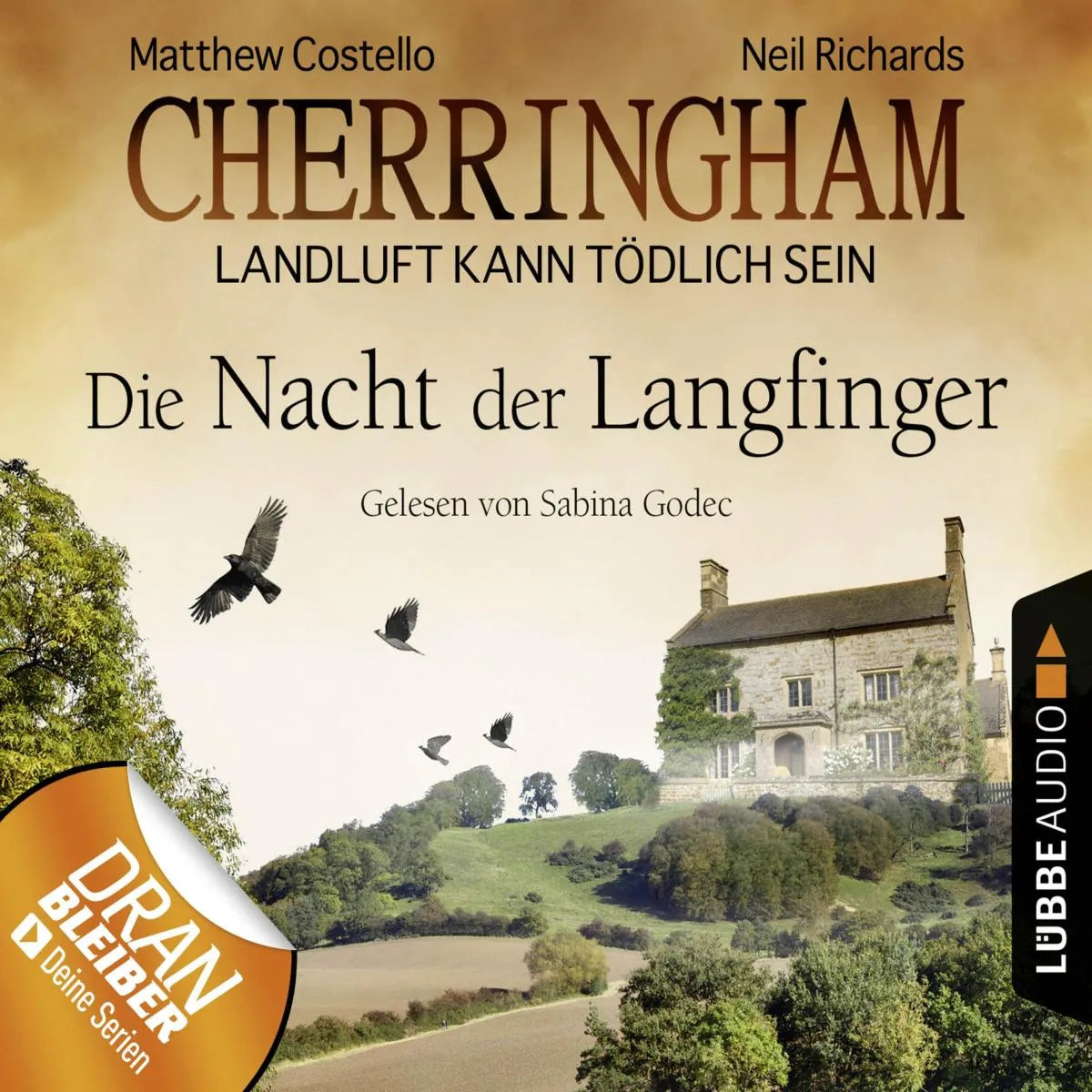Cover: Die Nacht der Langfinger (Hörbuch Download) von Matthew Costello