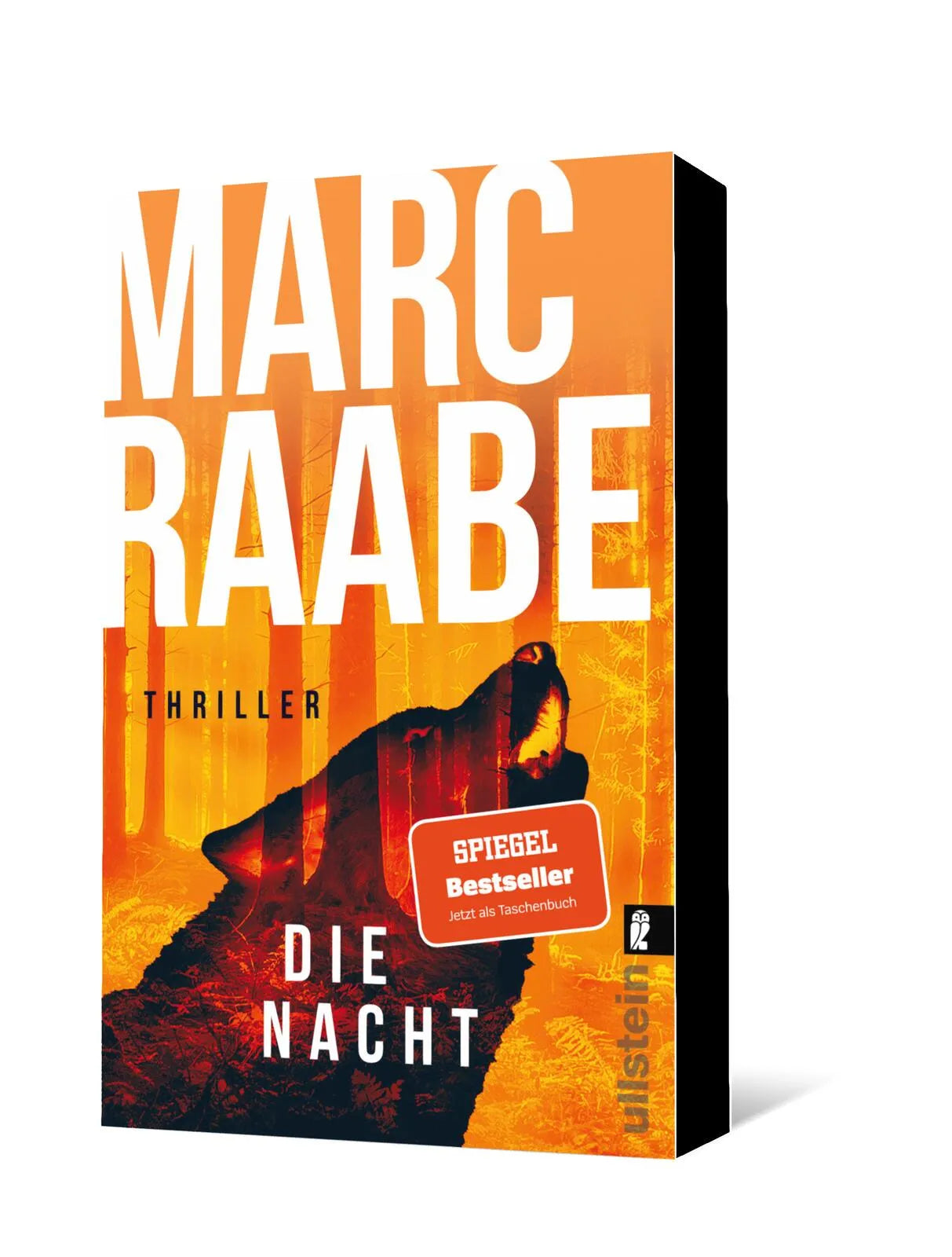 Marc Raabe - Die Nacht