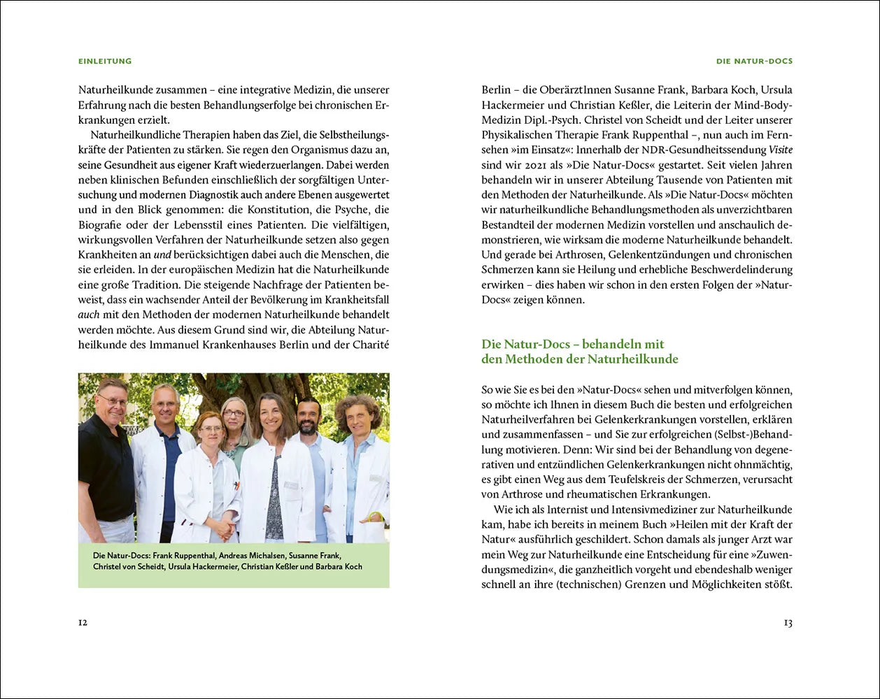 Produktansicht: Die Natur-Docs – Meine besten Heilmittel für Gelenke. Arthrose, Rheuma und Schmerzen (Taschenbuch)