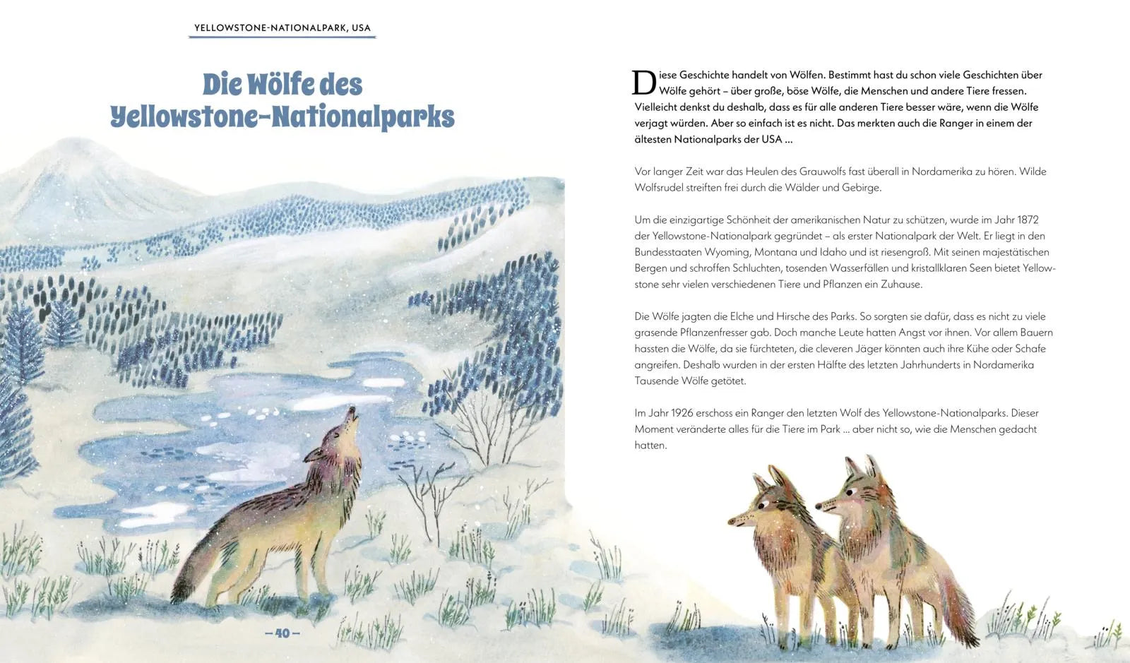 Detailansicht: Die Natur kehrt zurück (Hardcover)