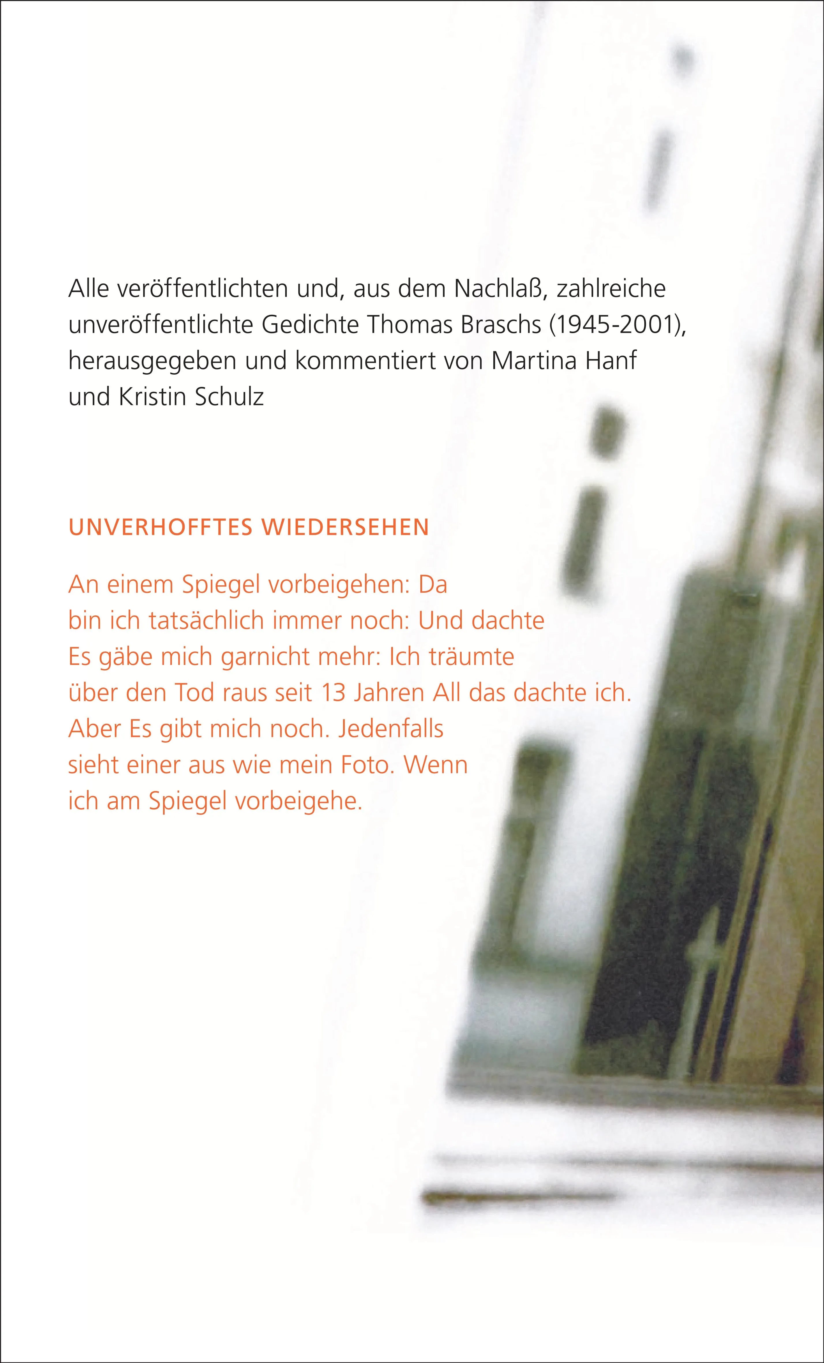 Buchrückseite von '»Die nennen das Schrei«' mit Klappentext - Paperback