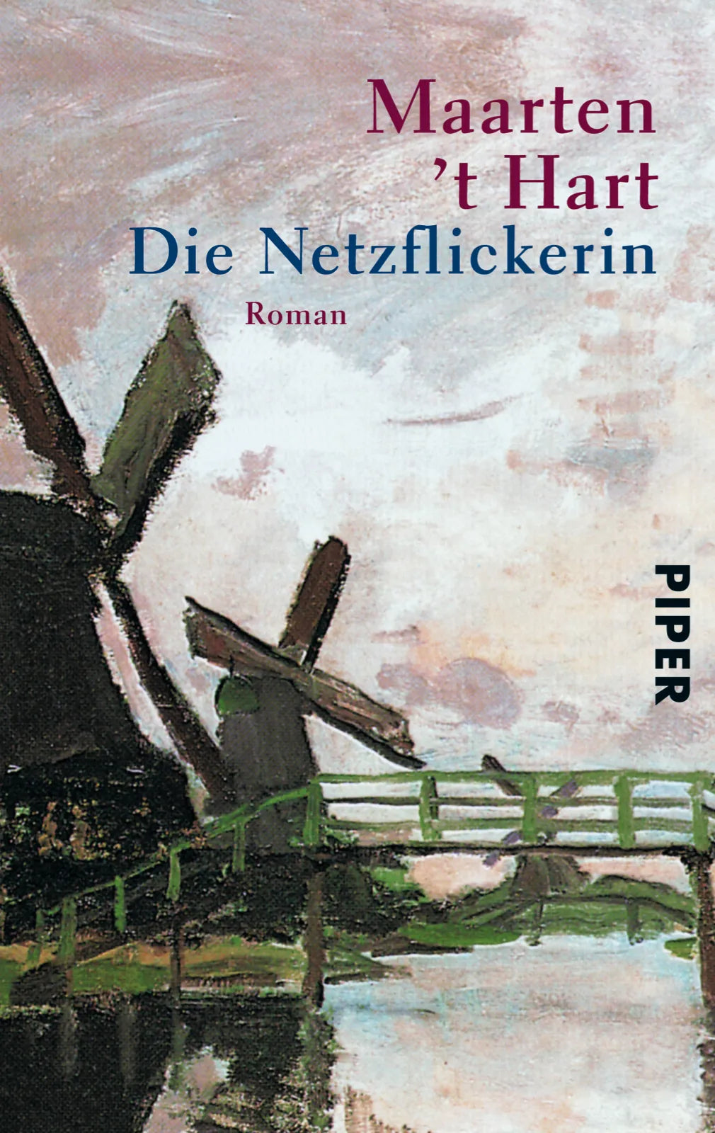 Buchcover von 'Die Netzflickerin' - Taschenbuch von Maarten 't Hart
