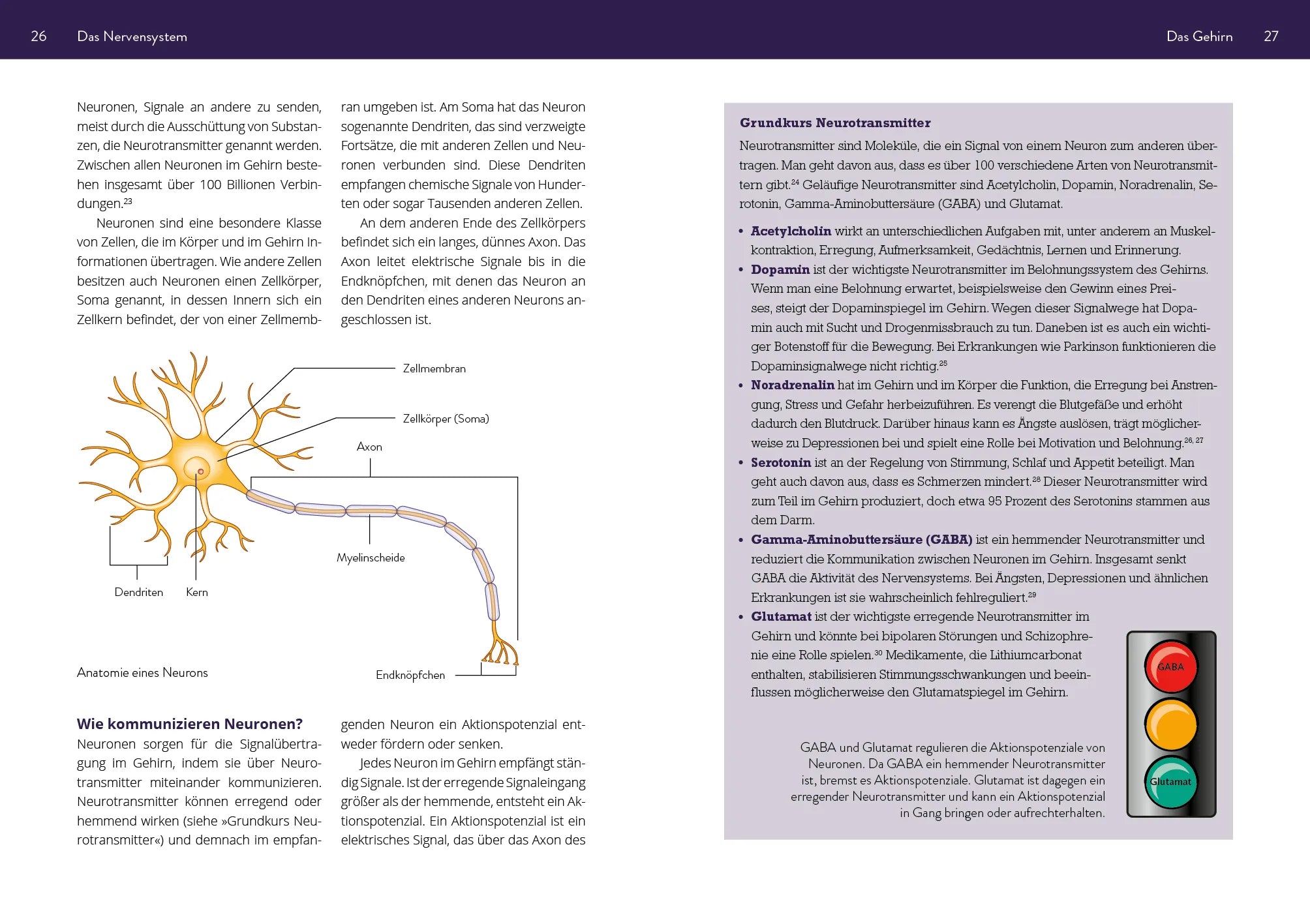 Innenansicht von 'Die Neurowissenschaft hinter Yoga und Meditation' - Taschenbuch