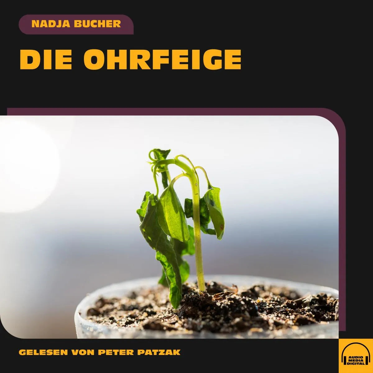 Cover: Die Ohrfeige (Hörbuch Download) von Nadja Bucher