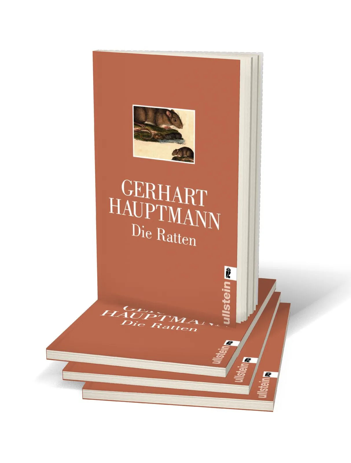 Produktansicht: Die Ratten (Taschenbuch)