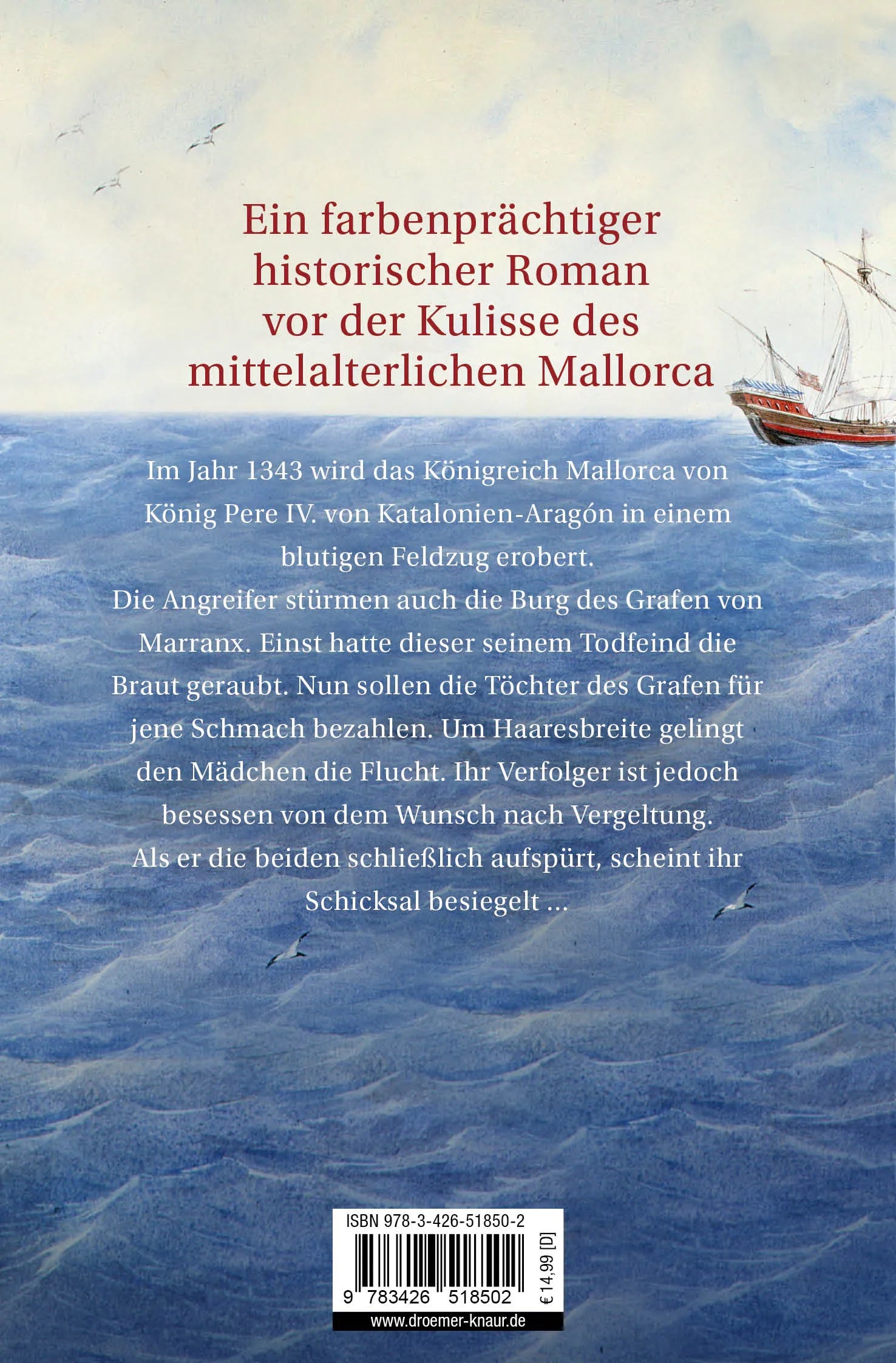 Buchrückseite von 'Die Rebellinnen' mit Klappentext - Taschenbuch