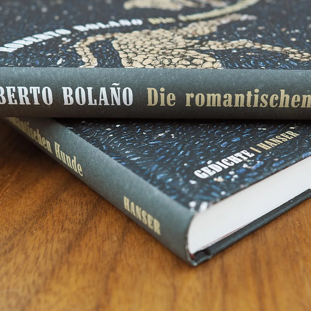 Produktansicht: Die romantischen Hunde (Gebundene Ausgabe)