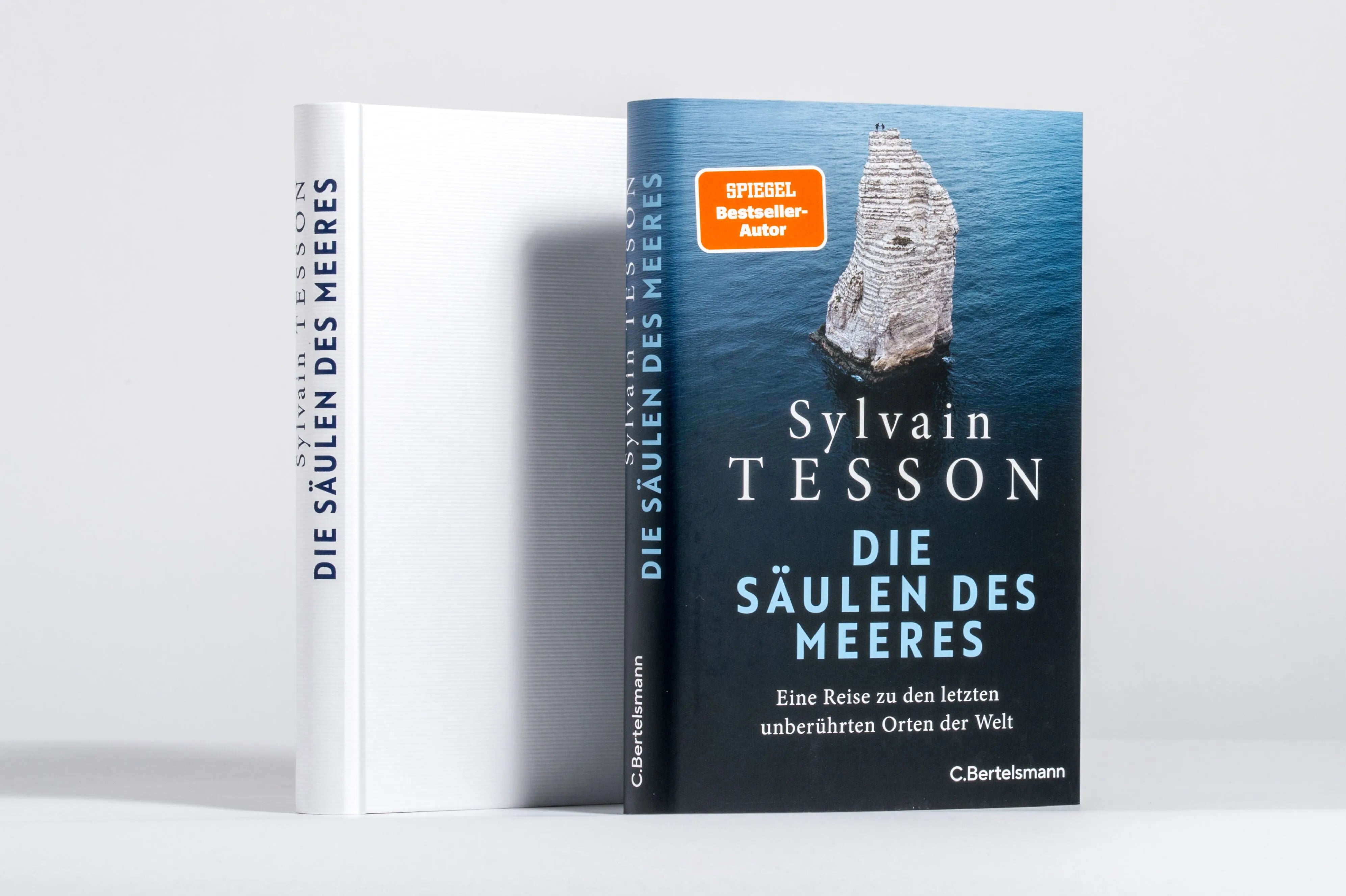 Detailansicht: Die Säulen des Meeres (Hardcover)
