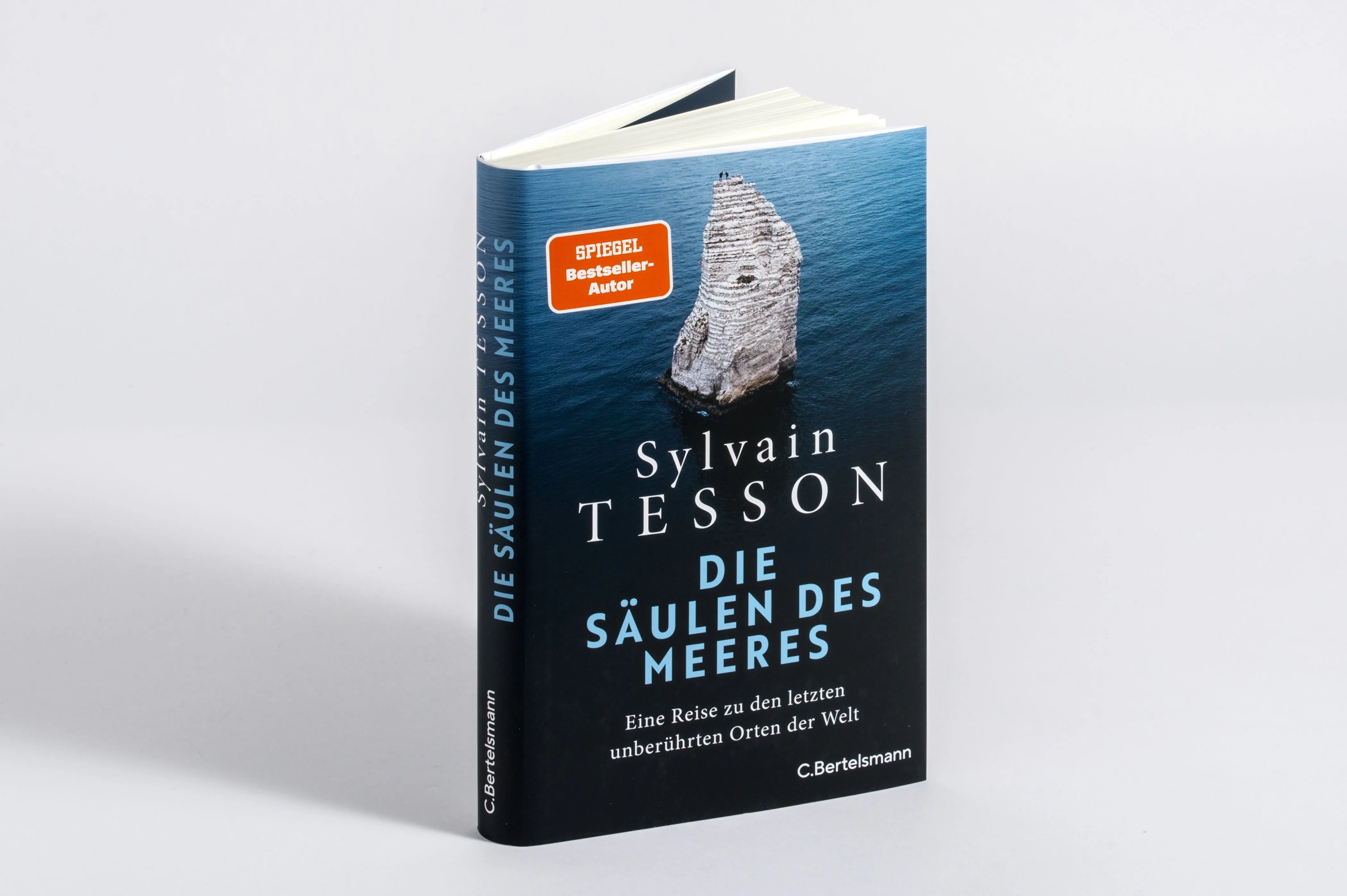 Detailansicht: Die Säulen des Meeres (Hardcover)