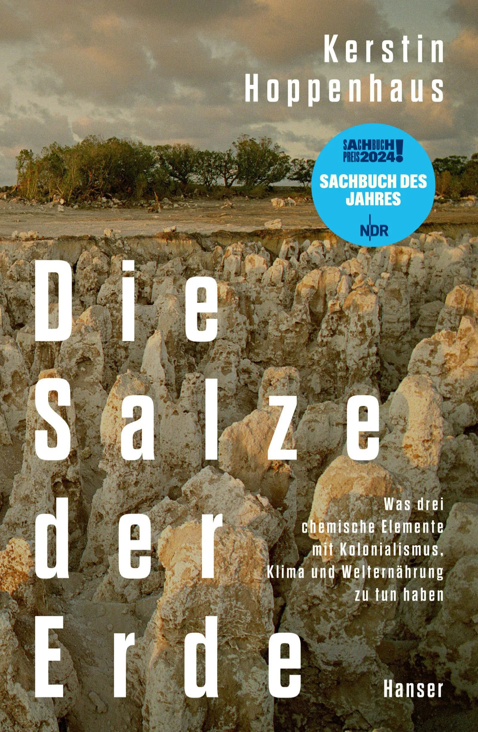 Cover: Die Salze der Erde (E-Book) von Kerstin Hoppenhaus