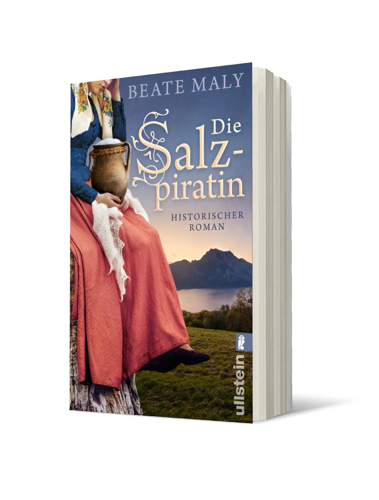 Produktansicht: Die Salzpiratin (Taschenbuch)