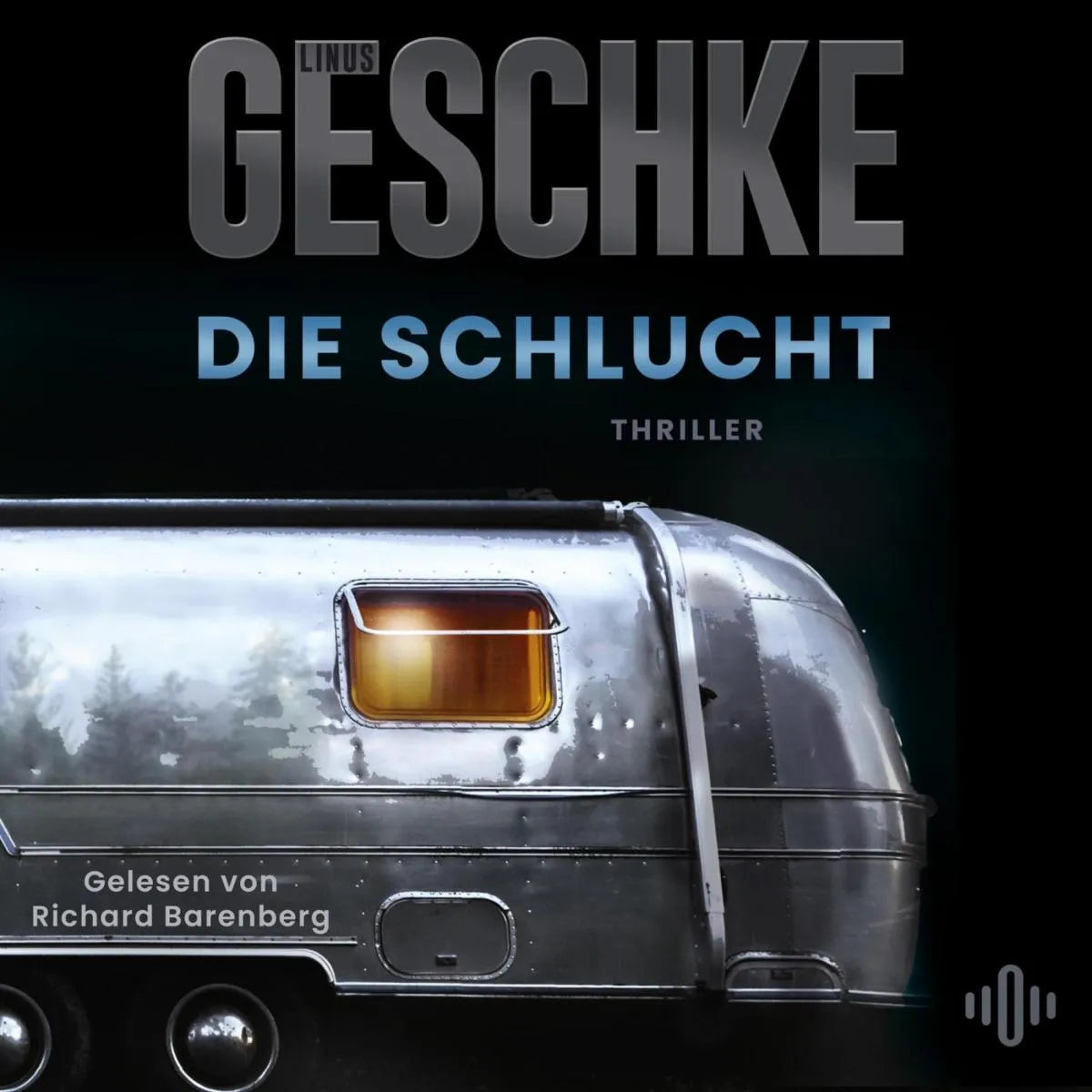 Cover: Die Schlucht (Hörbuch Download) von Linus Geschke