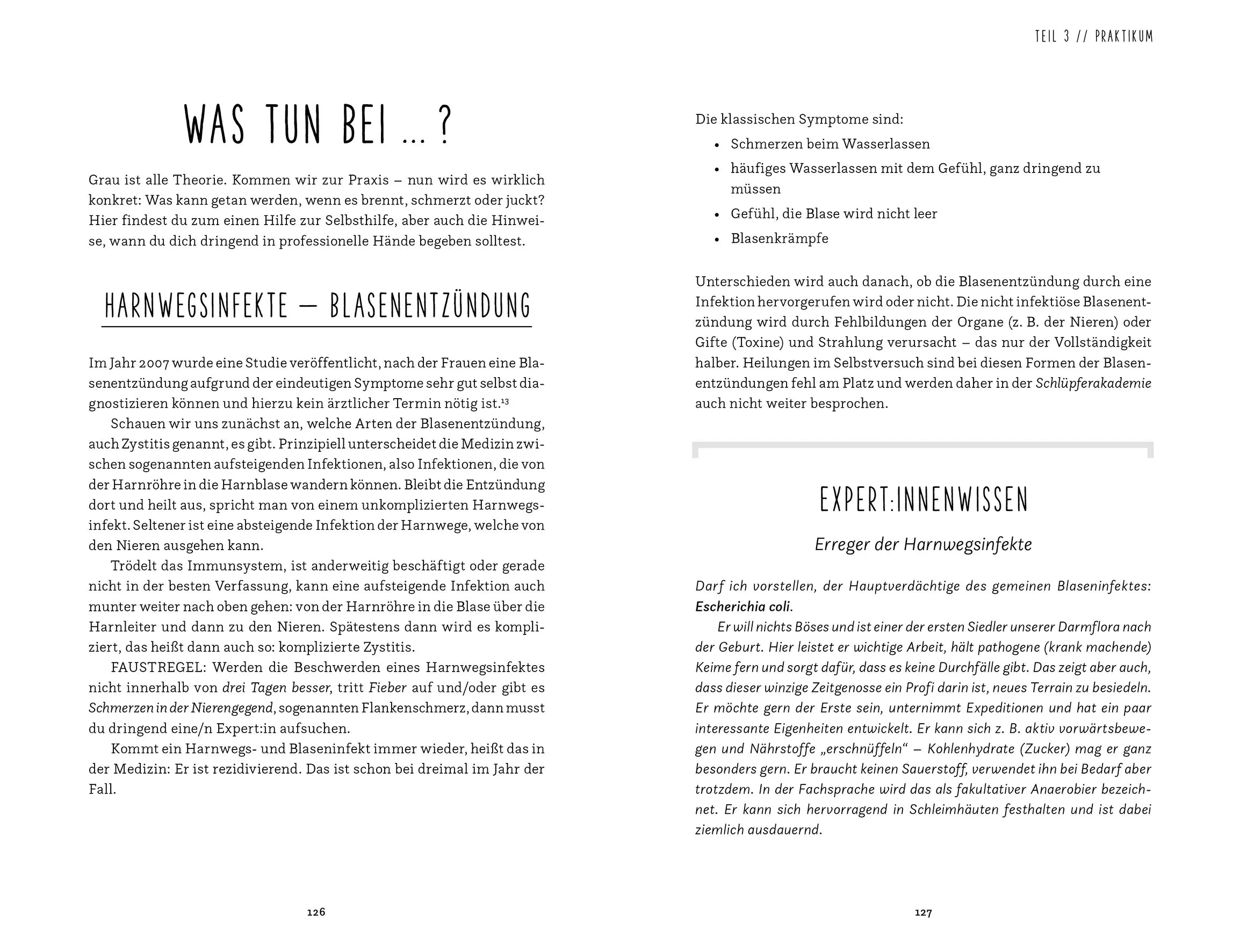 Produktansicht: Die Schlüpferakademie (Paperback)