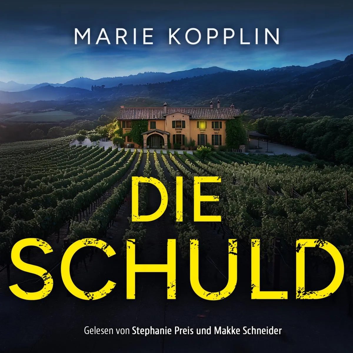 Cover: Die Schuld (Hörbuch Download) von Marie Kopplin