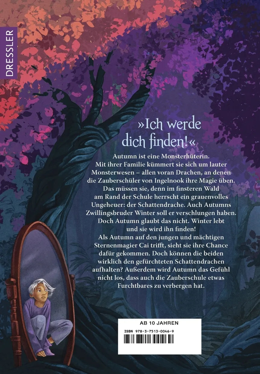 Rückseite: Die Schule am wilden Drachenwald (Hardcover)