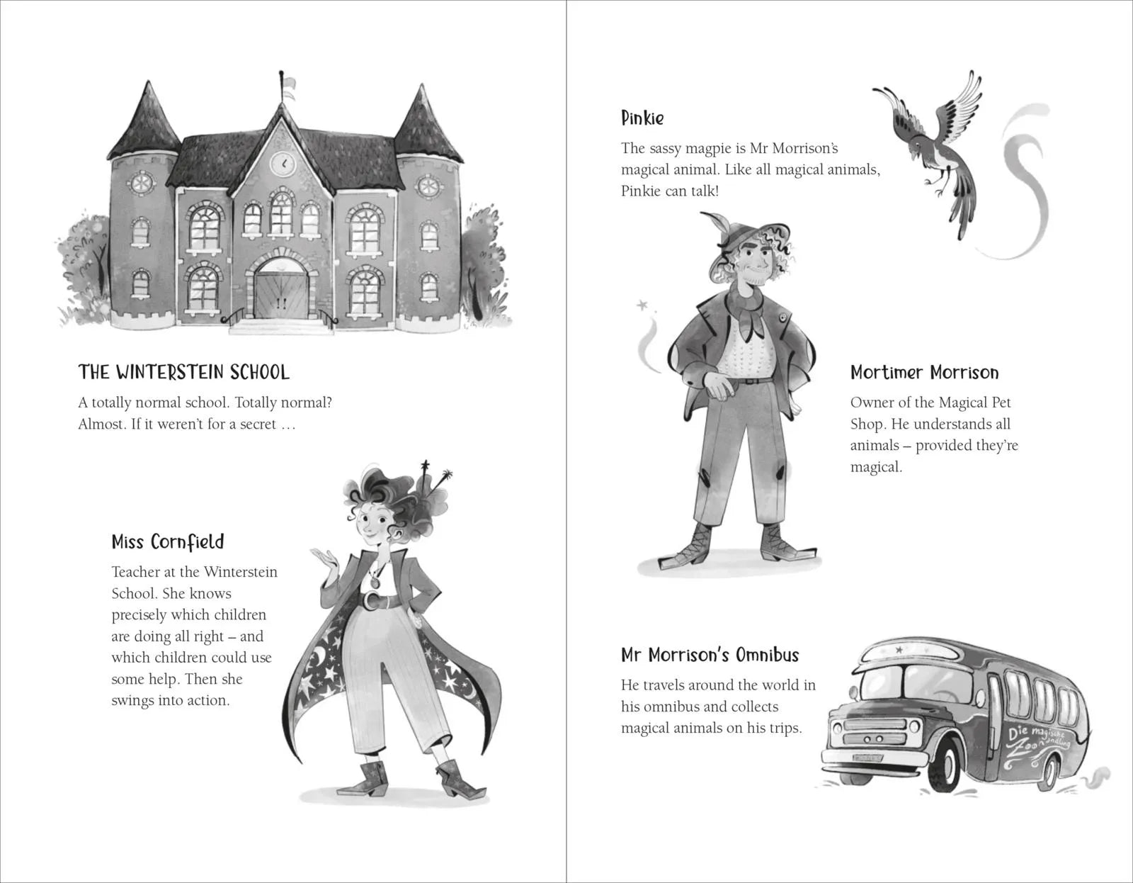 Detailansicht: Die Schule der magischen Tiere 1: The School of Magical Animals (Taschenbuch)