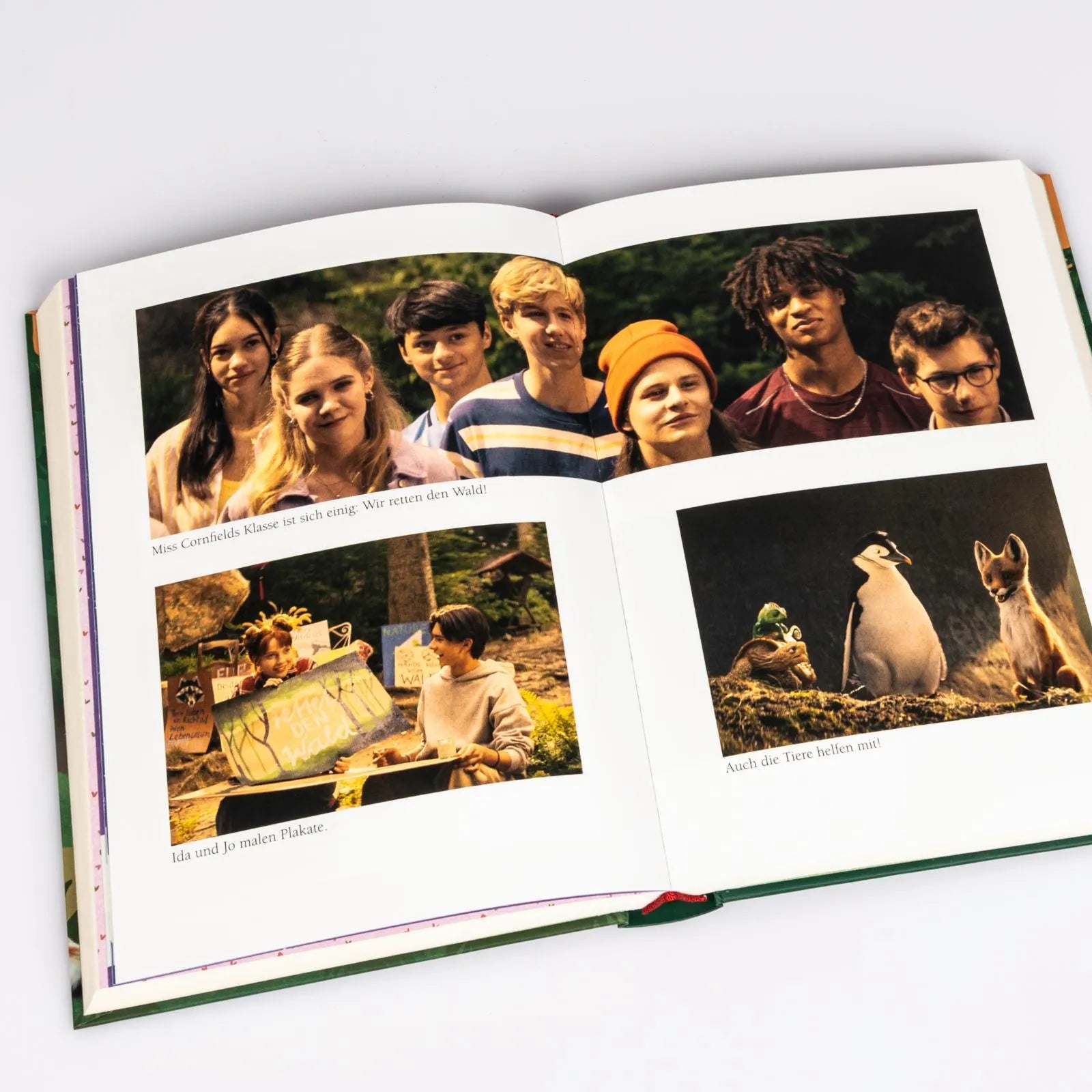 Abbildung von 'Die Schule der magischen Tiere 3: Das Buch zum Film'