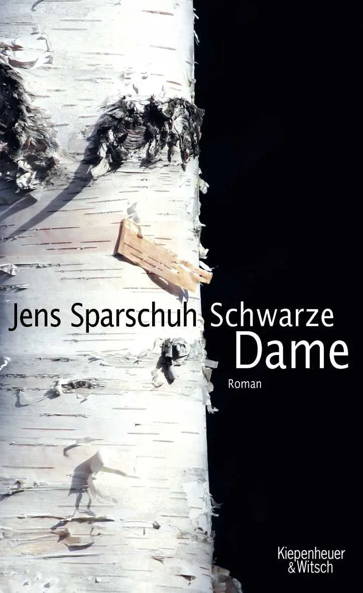 Buchcover von 'Die schwarze Dame' - Gebundene Ausgabe von Jens Sparschuh