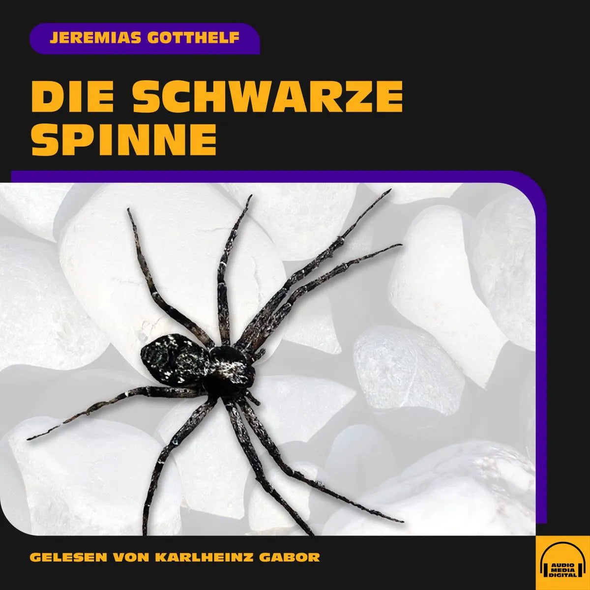Cover: Die schwarze Spinne (Hörbuch Download) von Jeremias Gotthelf