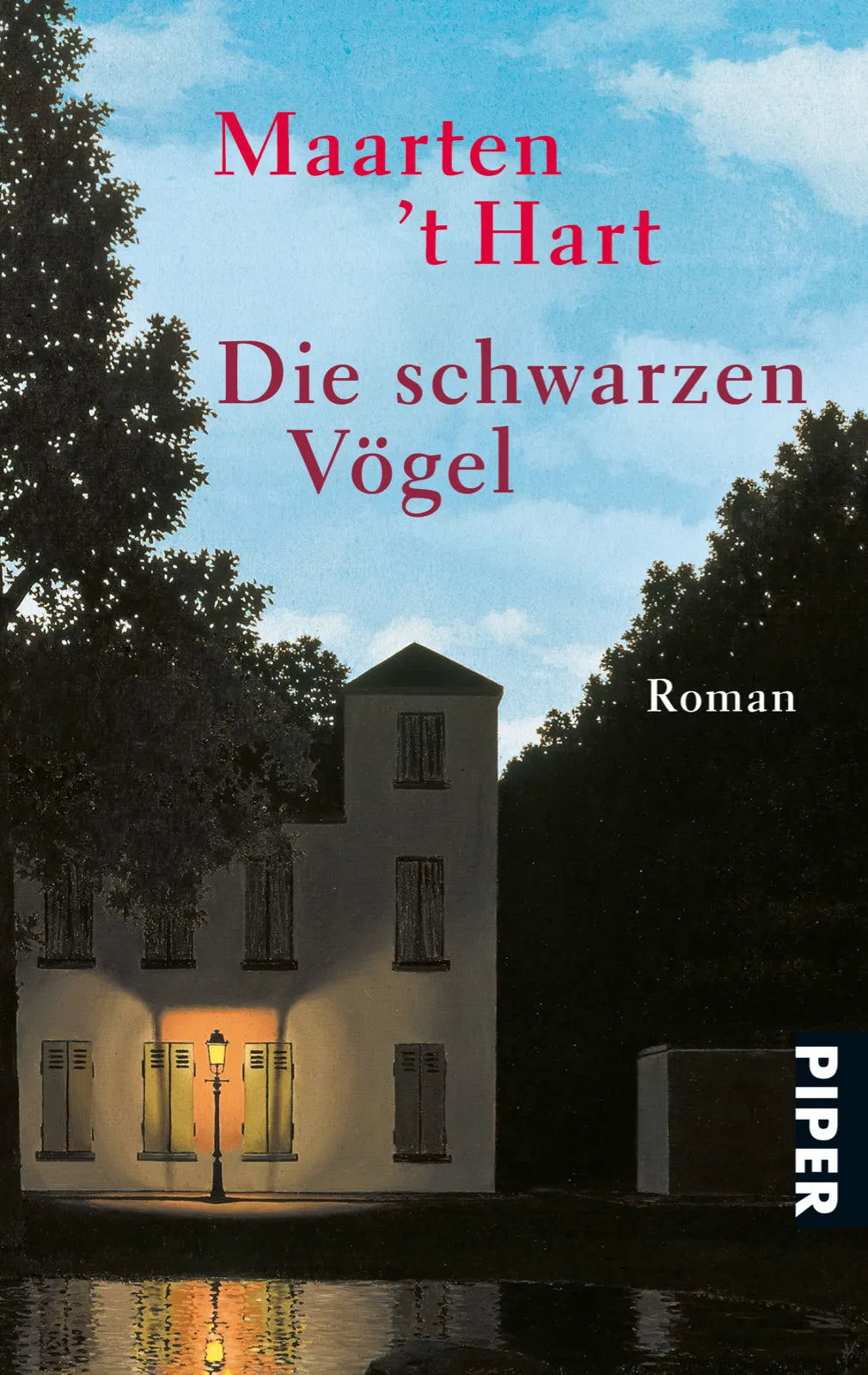 Buchcover von 'Die schwarzen Vögel' - Taschenbuch von Maarten 't Hart