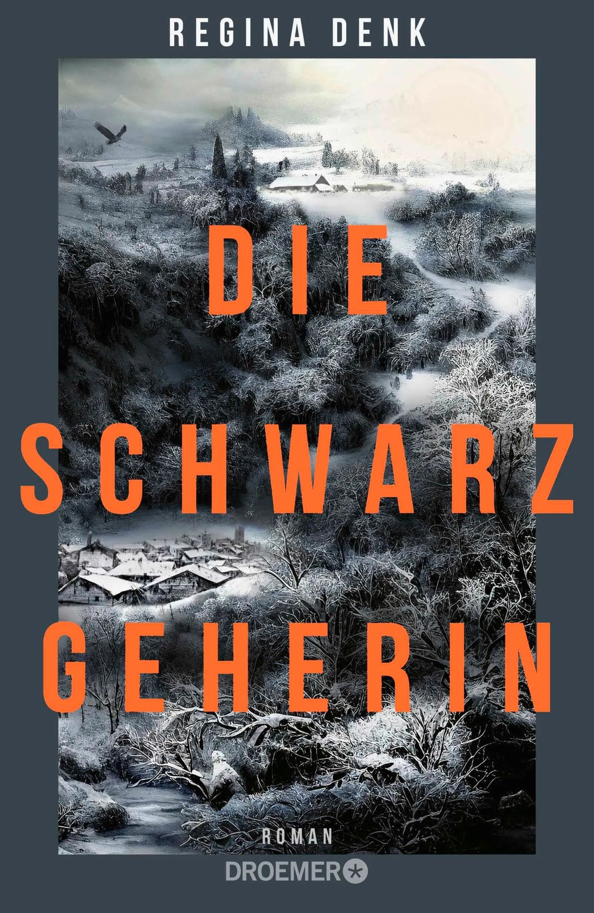 Cover: Die Schwarzgeherin (Hardcover) von Regina Denk