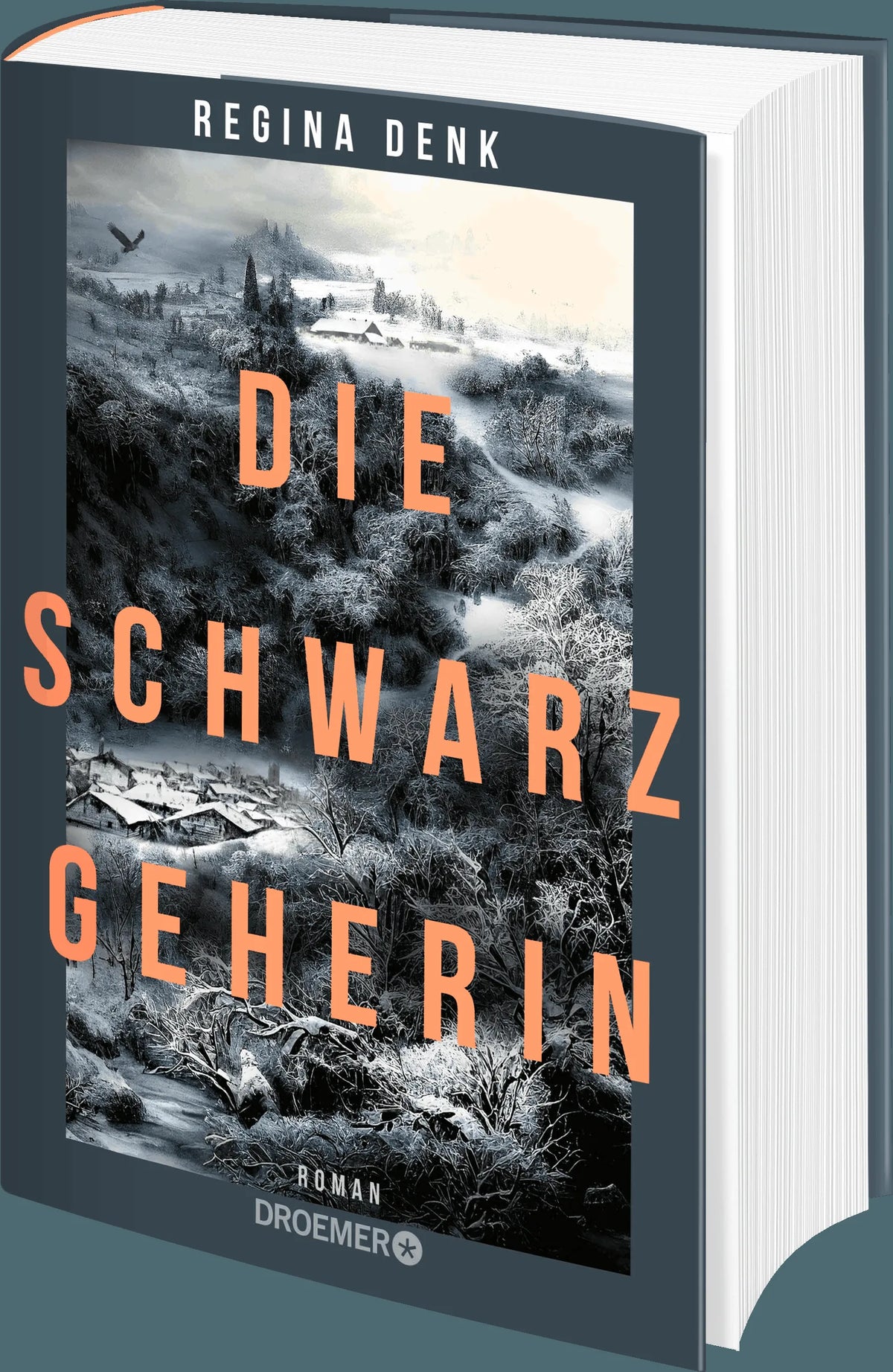 Detailansicht: Die Schwarzgeherin (Hardcover)