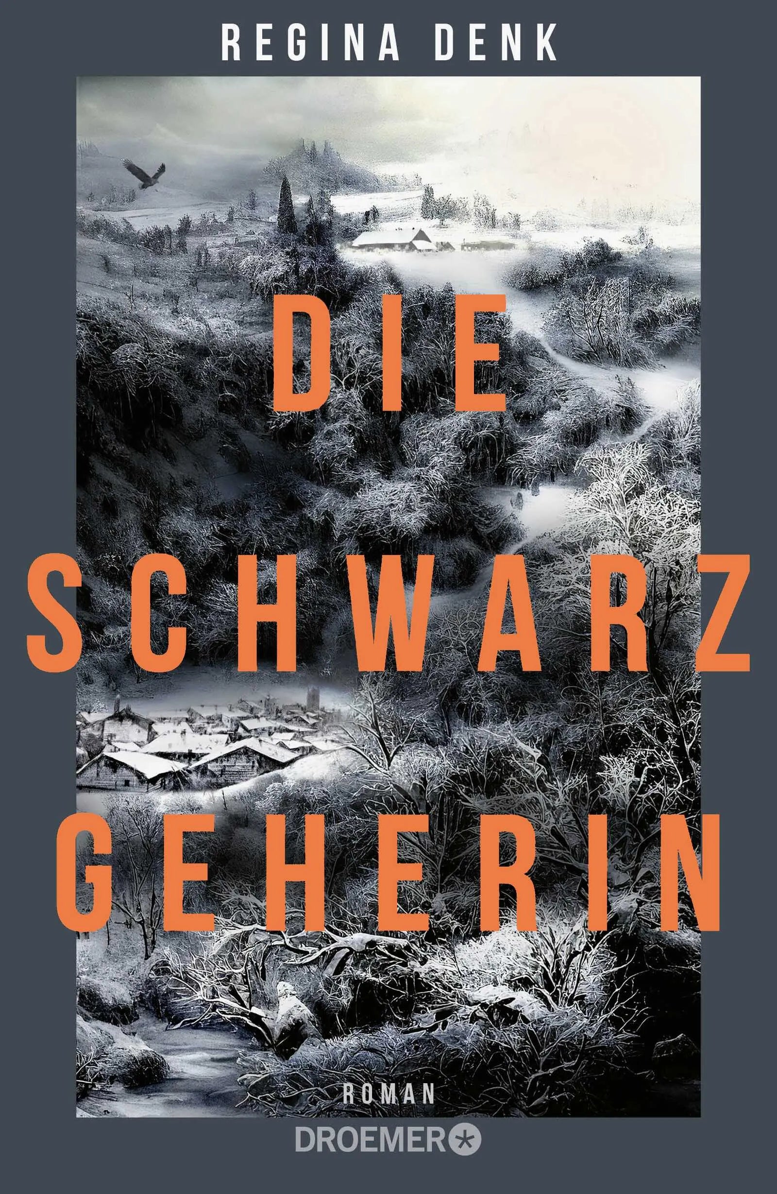 Buchcover von 'Die Schwarzgeherin' - Gebundene Ausgabe von Regina Denk