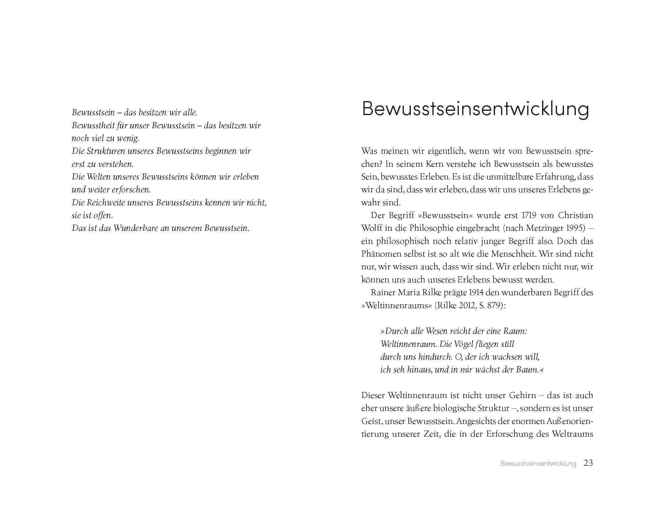 Detailansicht: Die Seele des Psychotherapeuten (Hardcover)