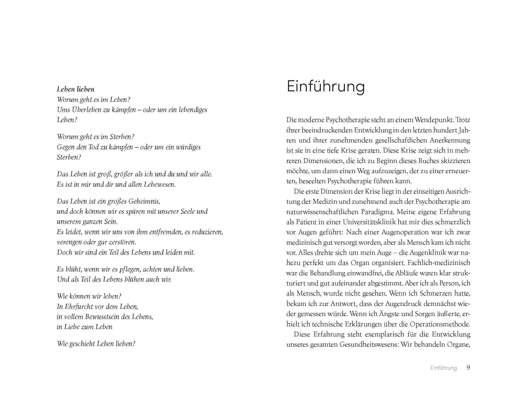 Detailansicht: Die Seele des Psychotherapeuten (Hardcover)