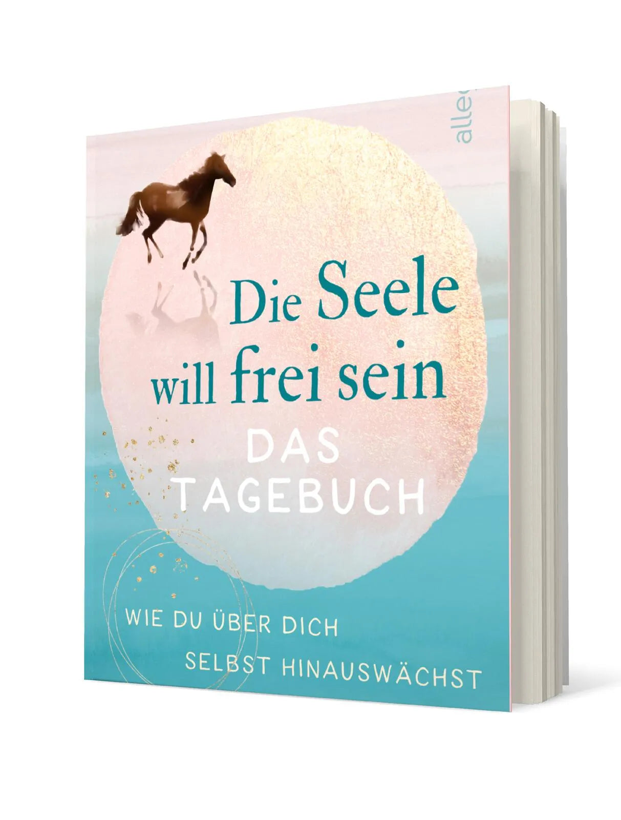 Detailansicht: Die Seele will frei sein – Das Tagebuch (Paperback)