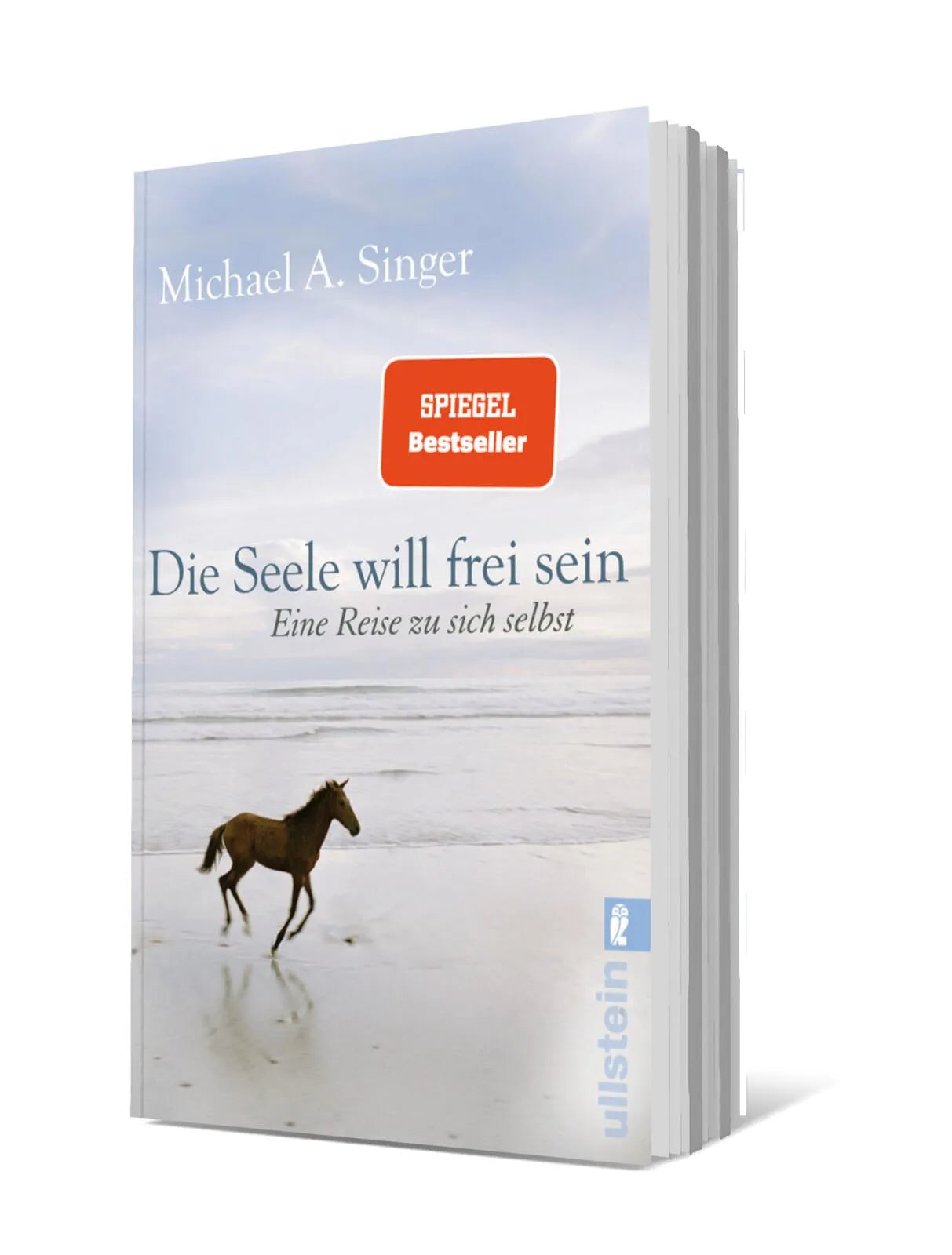 Detailansicht: Die Seele will frei sein (Taschenbuch)