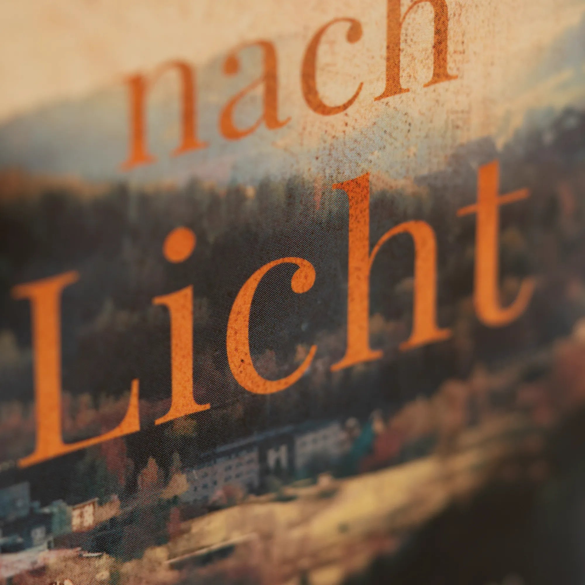 Abbildung von 'Die Sehnsucht nach Licht'