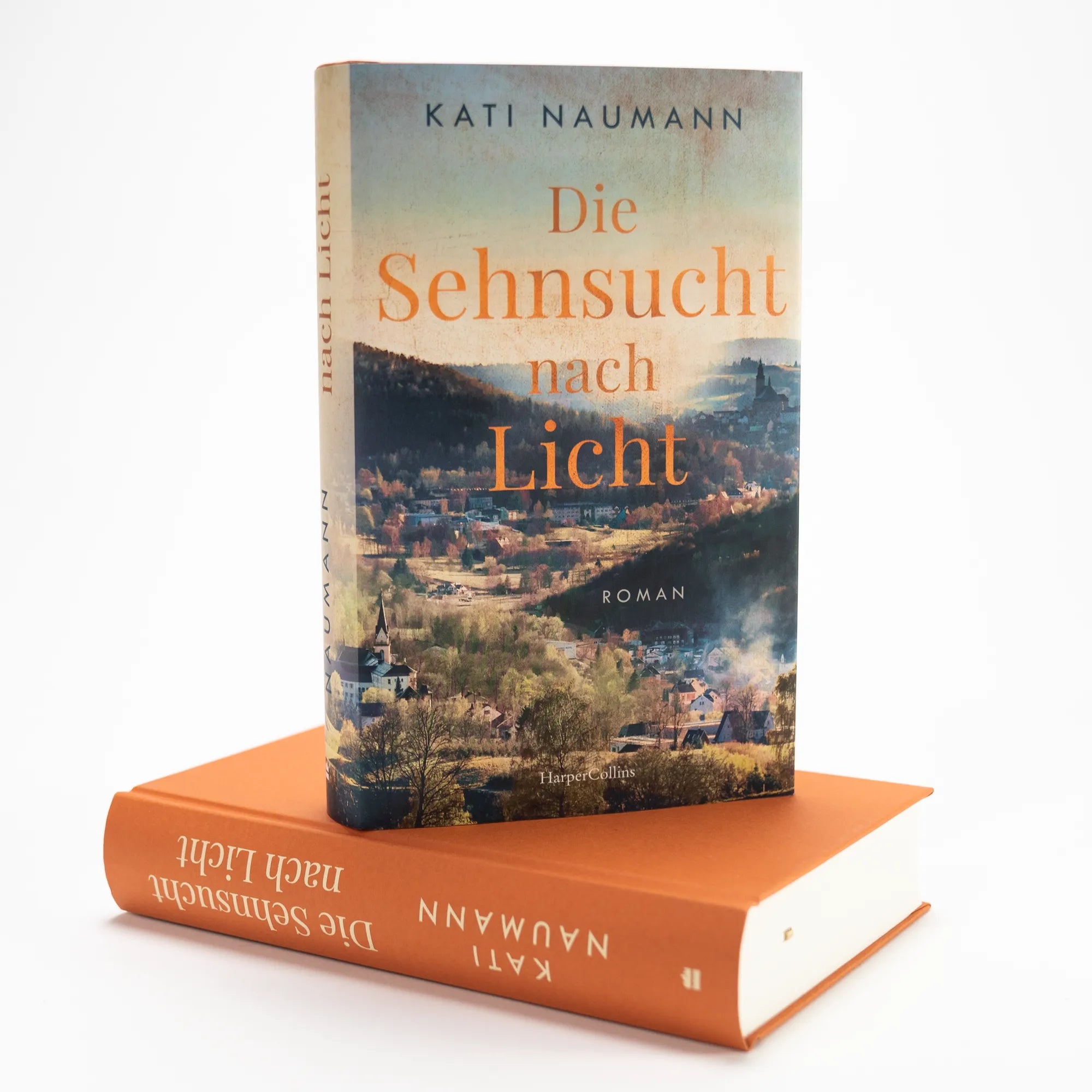 Produktansicht: Die Sehnsucht nach Licht (Gebundene Ausgabe)