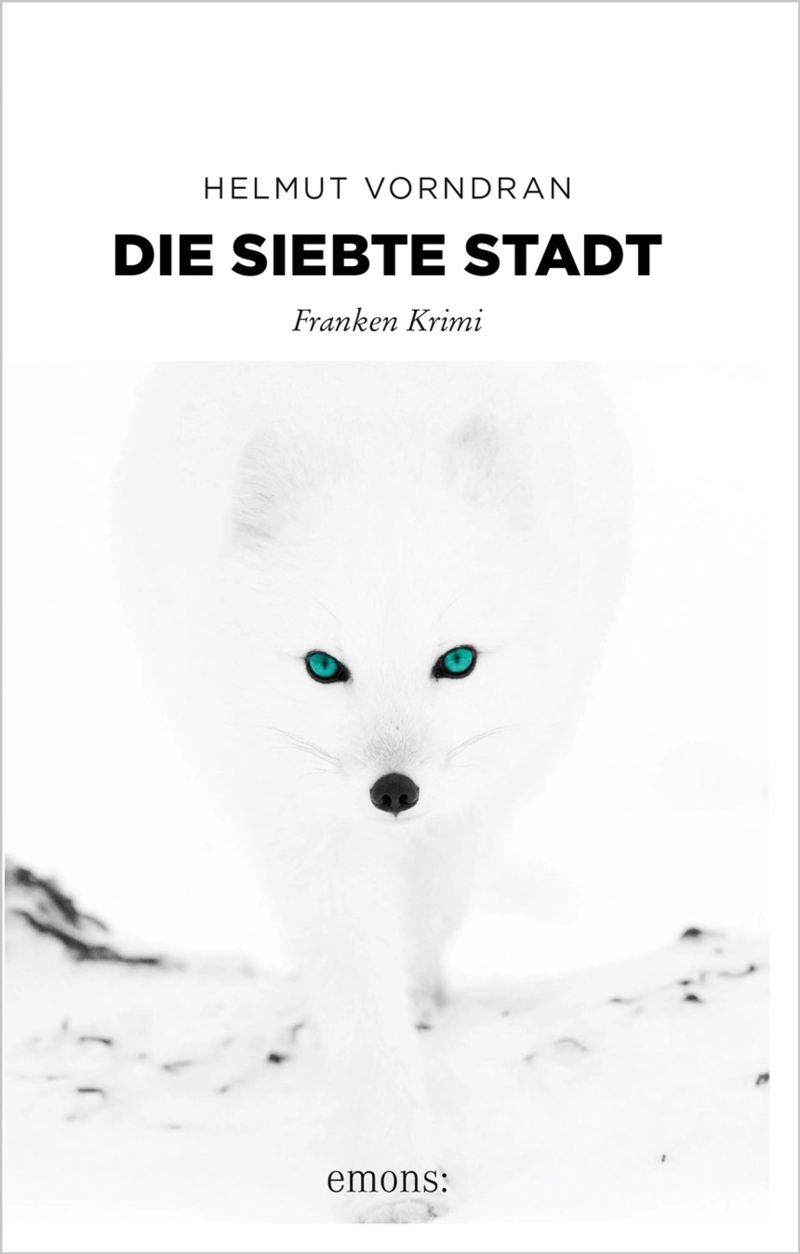 Cover: Die siebte Stadt (E-Book) von Helmut Vorndran