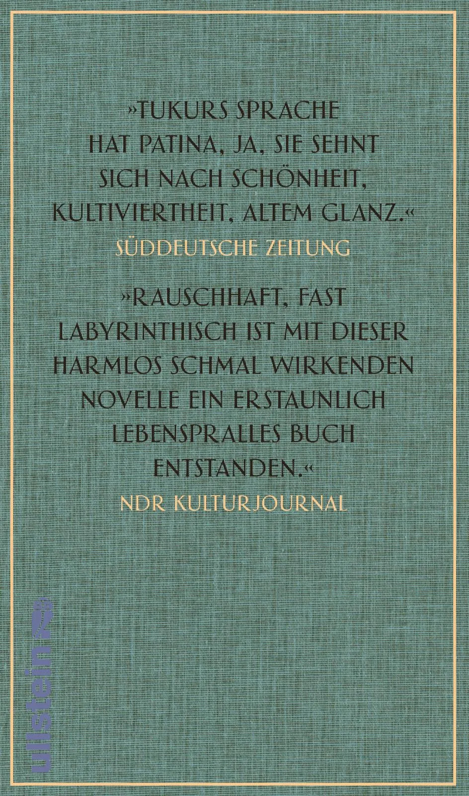 Buchrückseite von 'Die Spieluhr' mit Klappentext - Gebundene Ausgabe