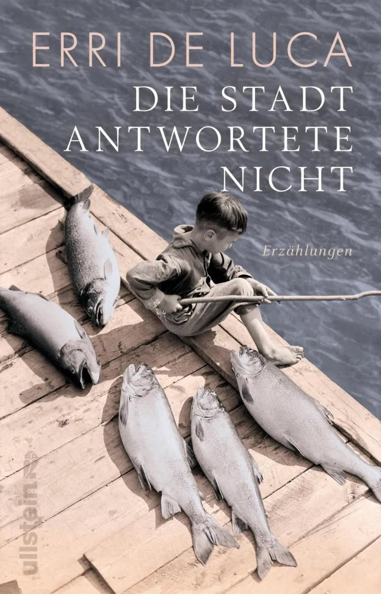 Cover: Die Stadt antwortete nicht (E-Book) von Erri De Luca