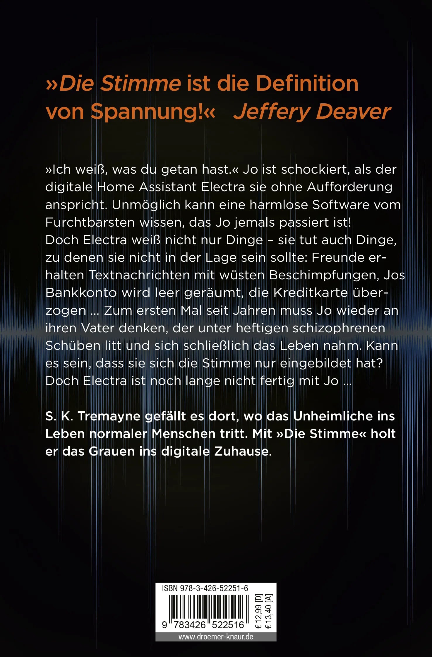 Buchrückseite von 'Die Stimme' mit Klappentext - Taschenbuch
