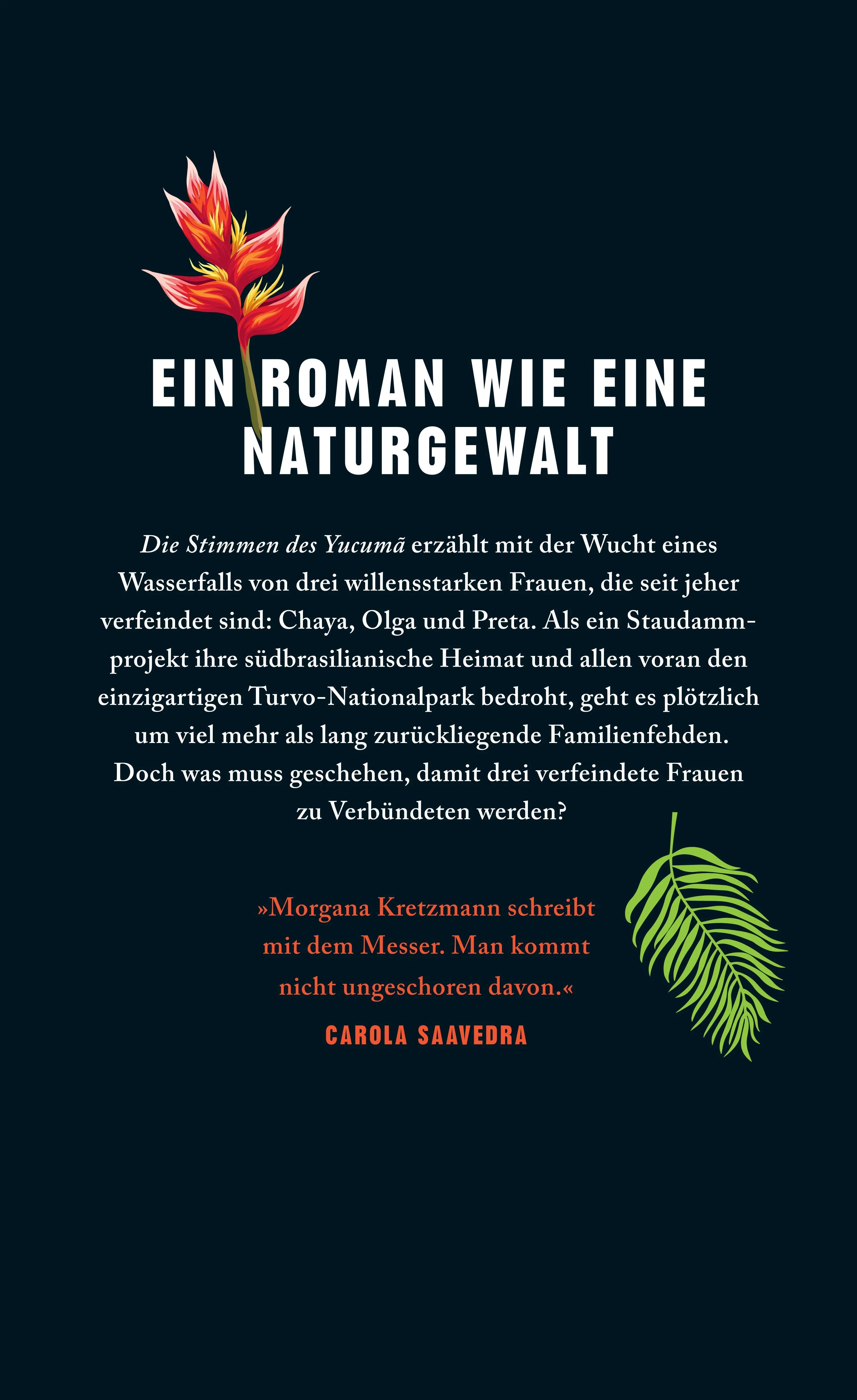 Buchrückseite von 'Die Stimmen des Yucumã' mit Klappentext - Gebundene Ausgabe