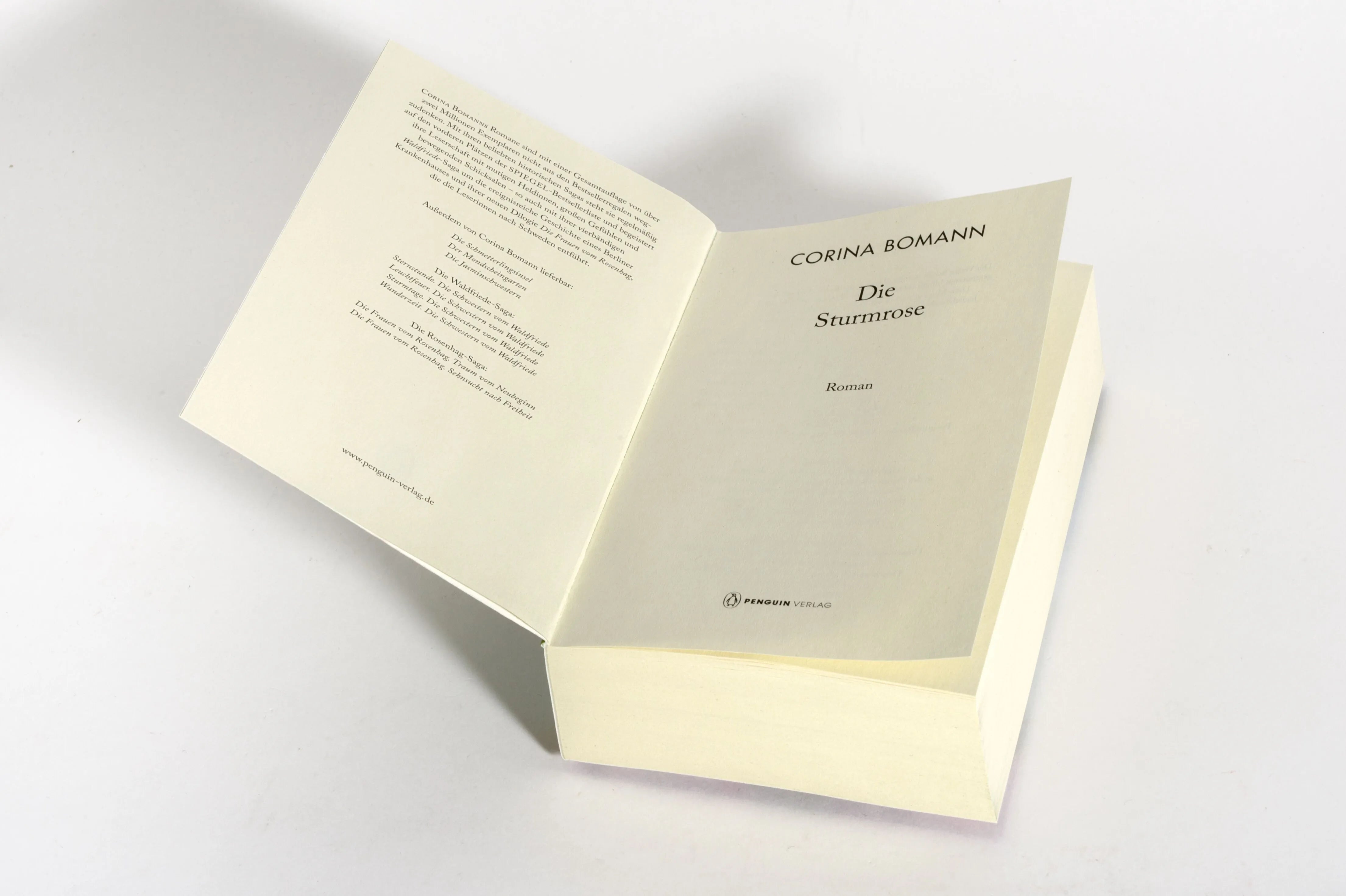 Detailansicht: Die Sturmrose (Taschenbuch)