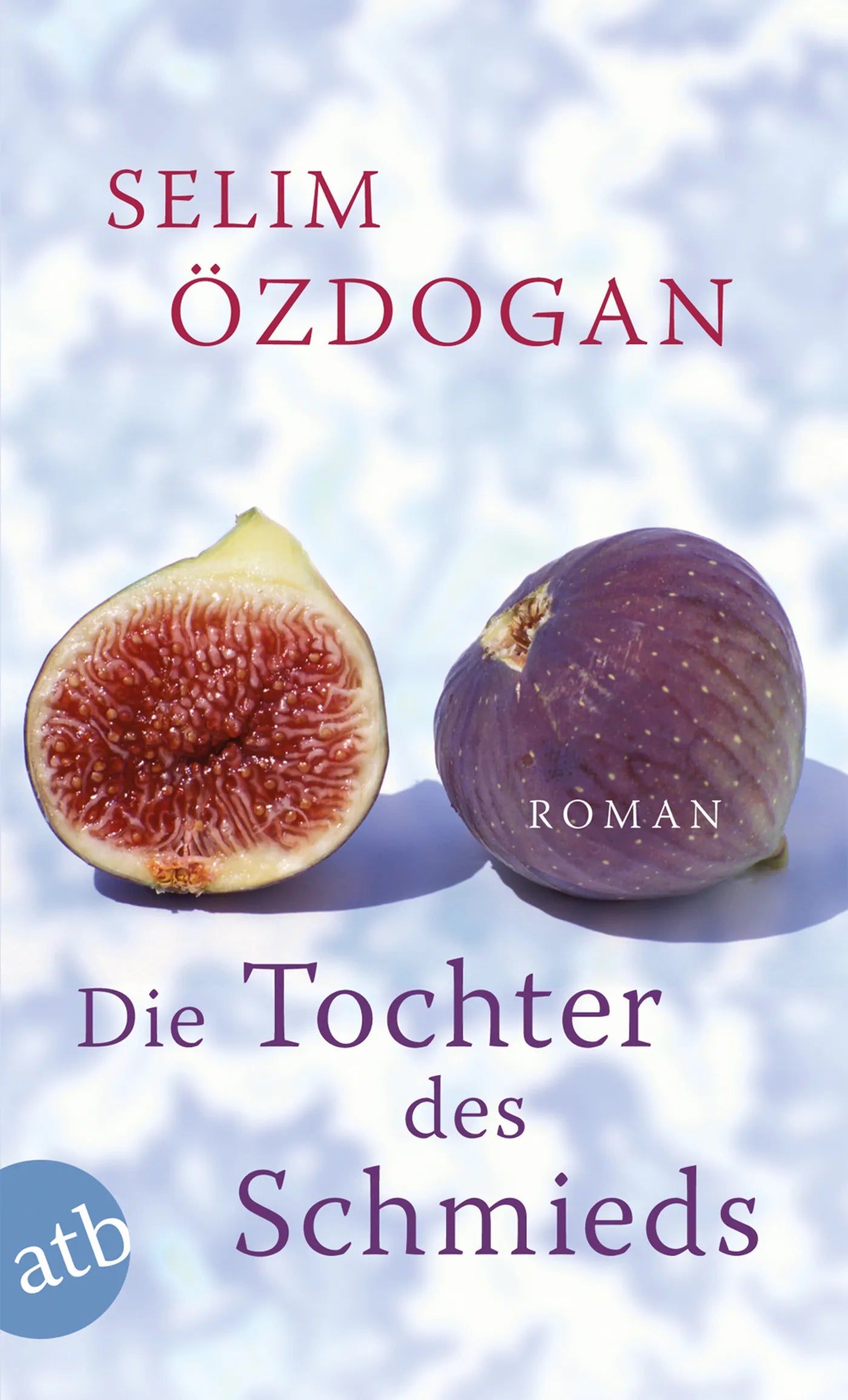 Buchcover von 'Die Tochter des Schmieds' - Taschenbuch von Selim Özdogan