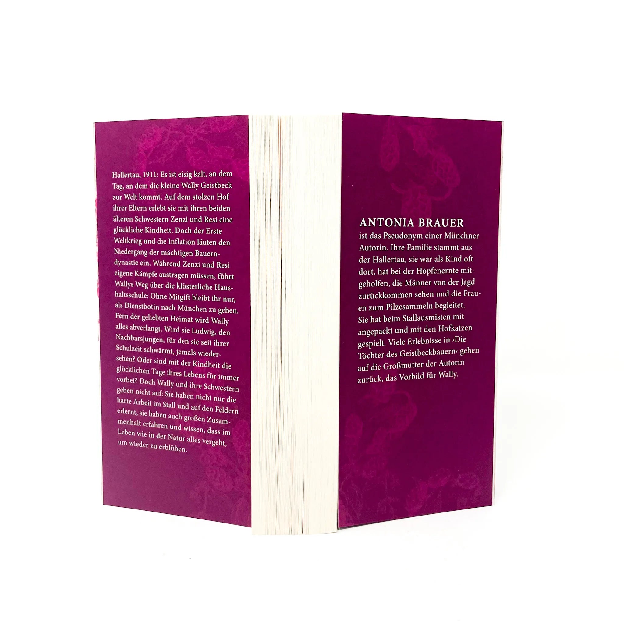 Produktansicht: Die Töchter des Geistbeckbauern (Taschenbuch)