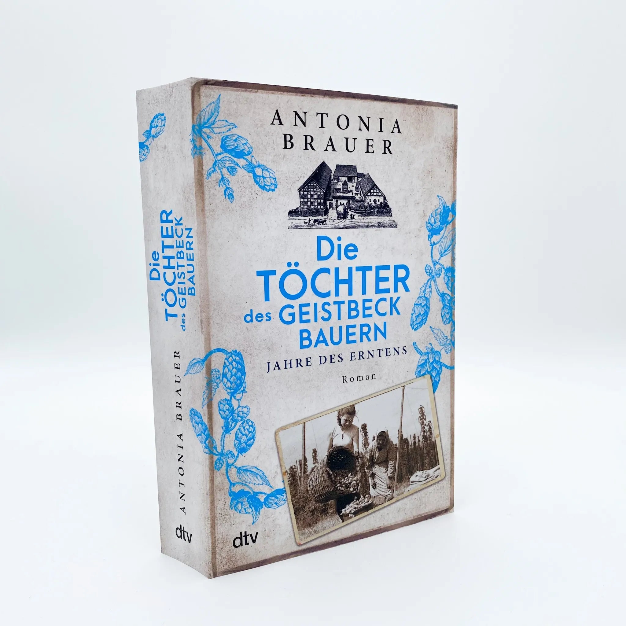 Produktansicht: Die Töchter des Geistbeckbauern (Taschenbuch)