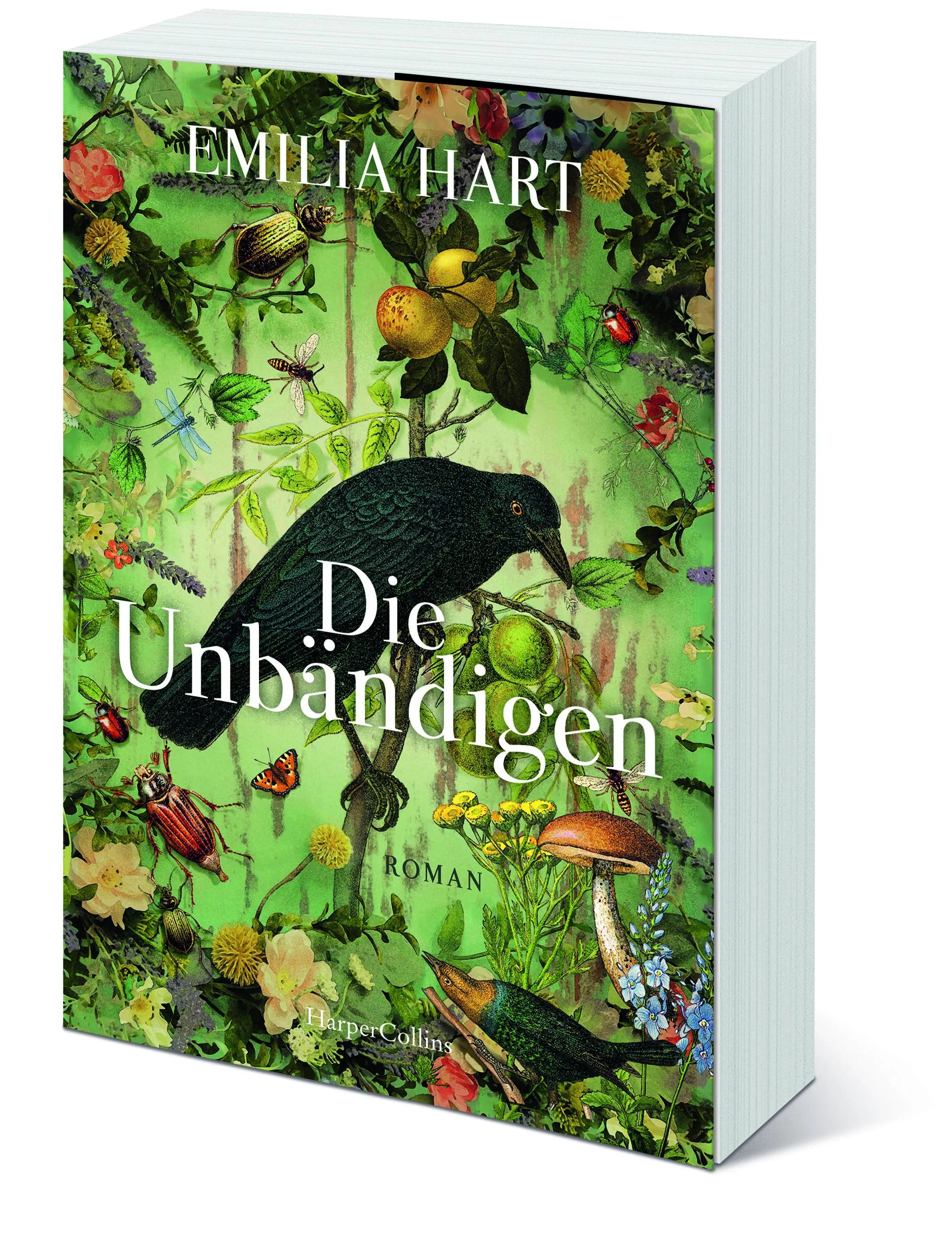 Detailansicht: Die Unbändigen (Taschenbuch)
