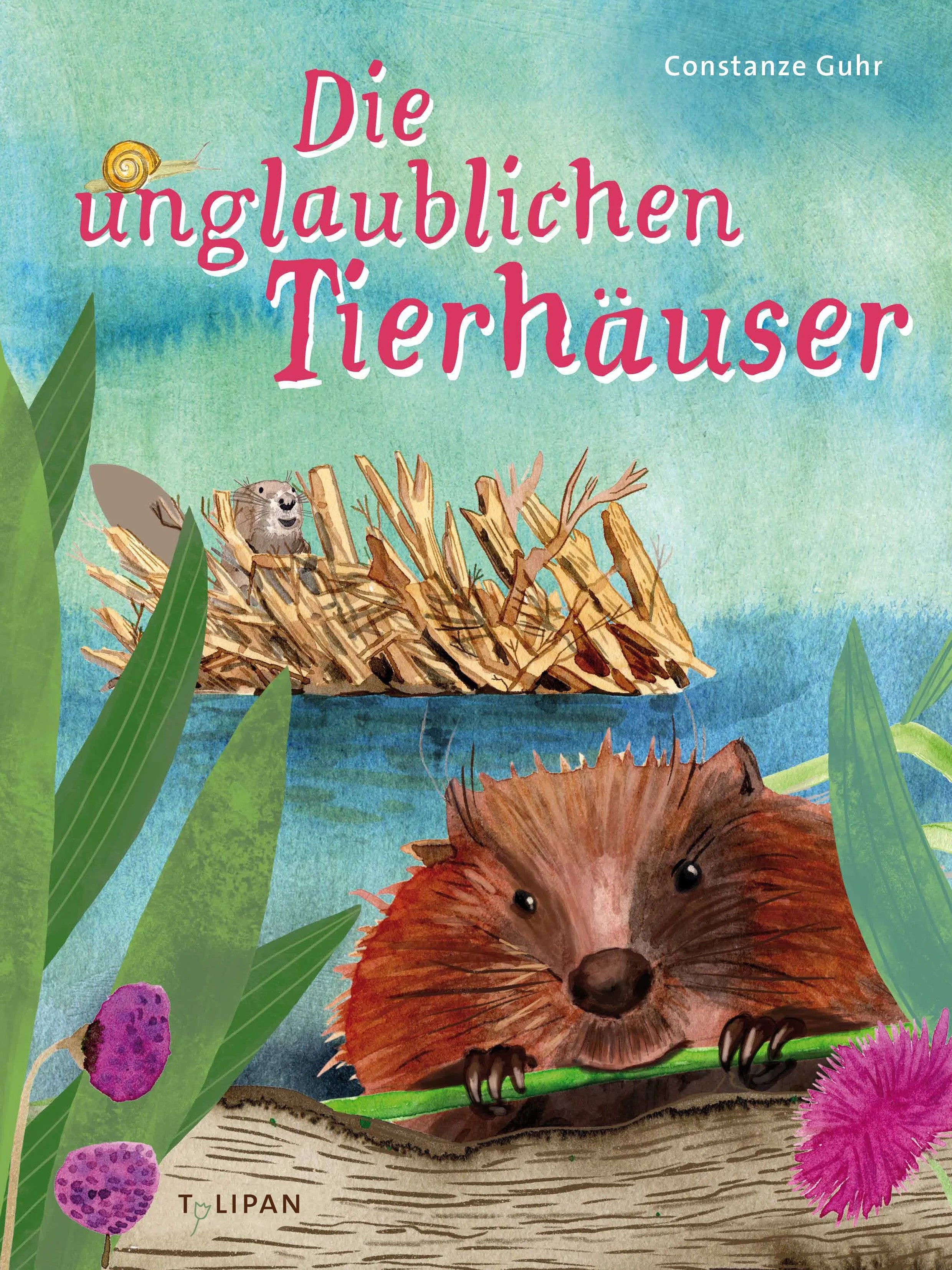 Cover: Die unglaublichen Tierhäuser (Hardcover) von Constanze Guhr